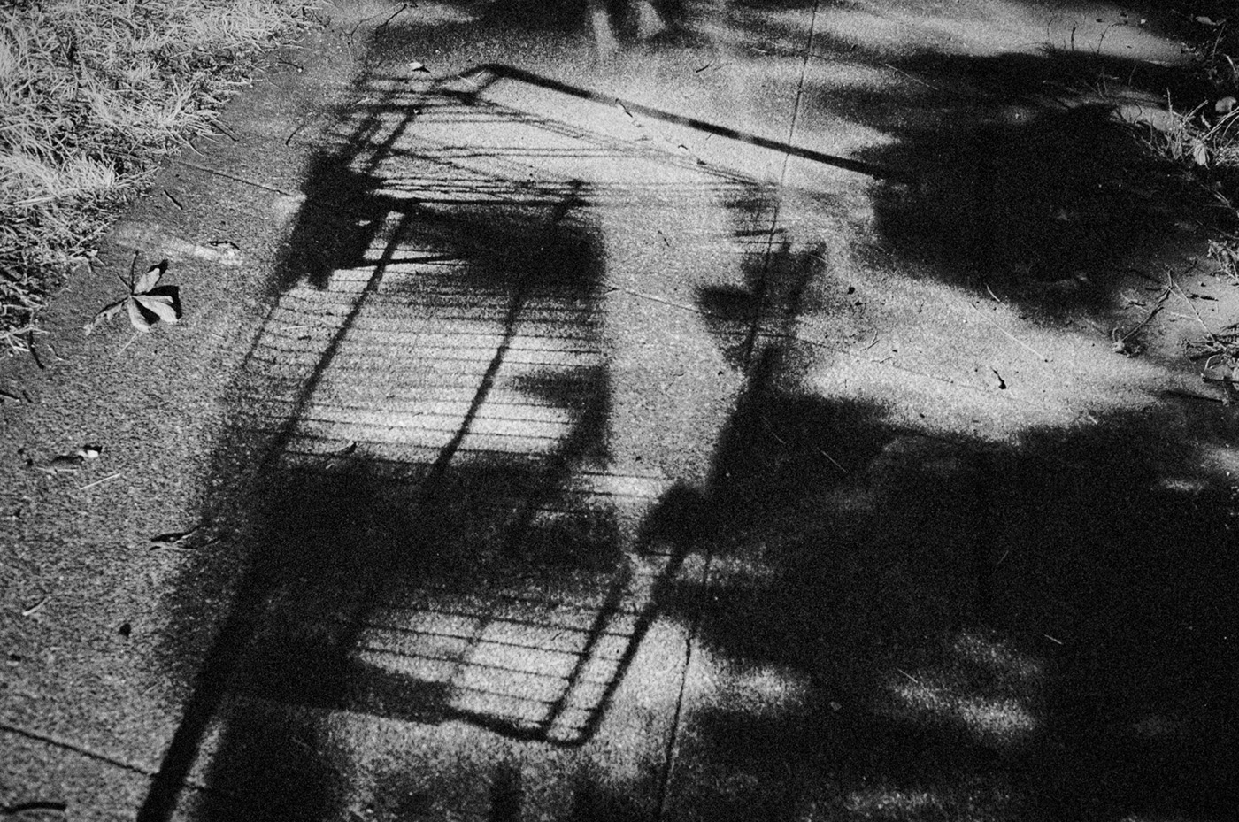 Shopping Cart Shadow, Portland, Oregon