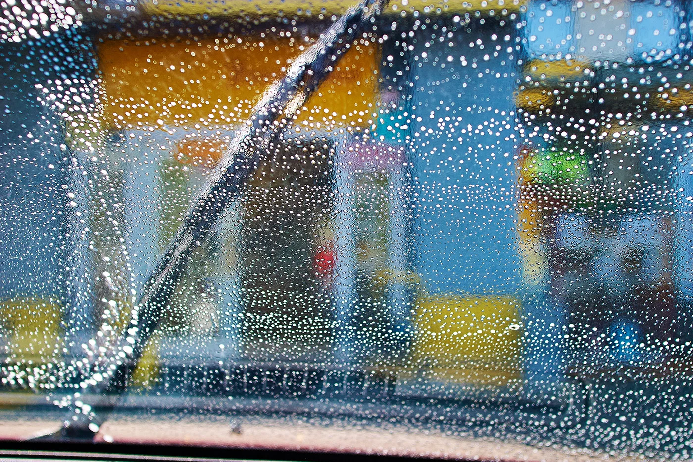 Windshield, Portland, Oregon