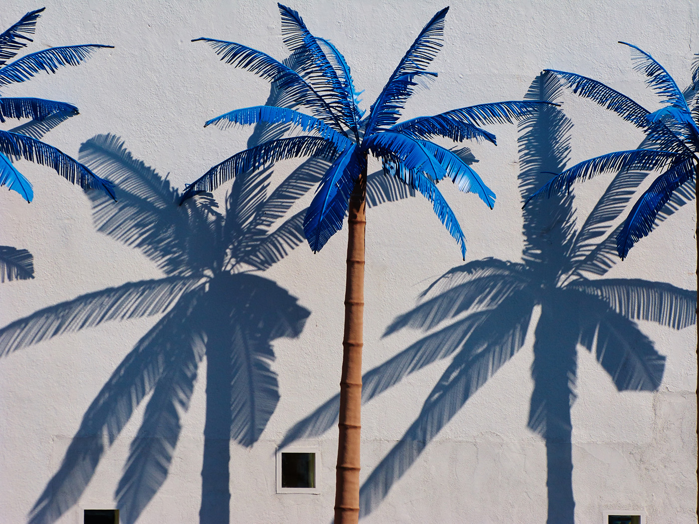 Artificial Palm Trees, Wildwood, New Jersey