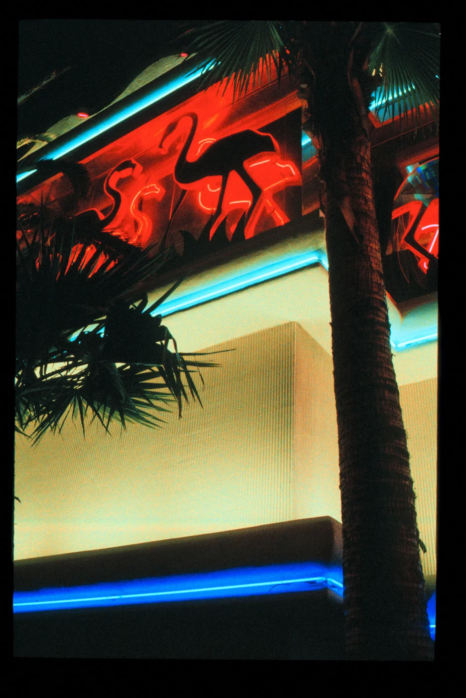 Neon Flamingos, Las Vegas, Nevada