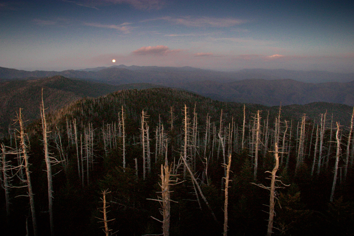 Tennessee Moonrise, Clingmans Dome, Great Smoky Mountains National Park, Gatlinburg, Tennessee