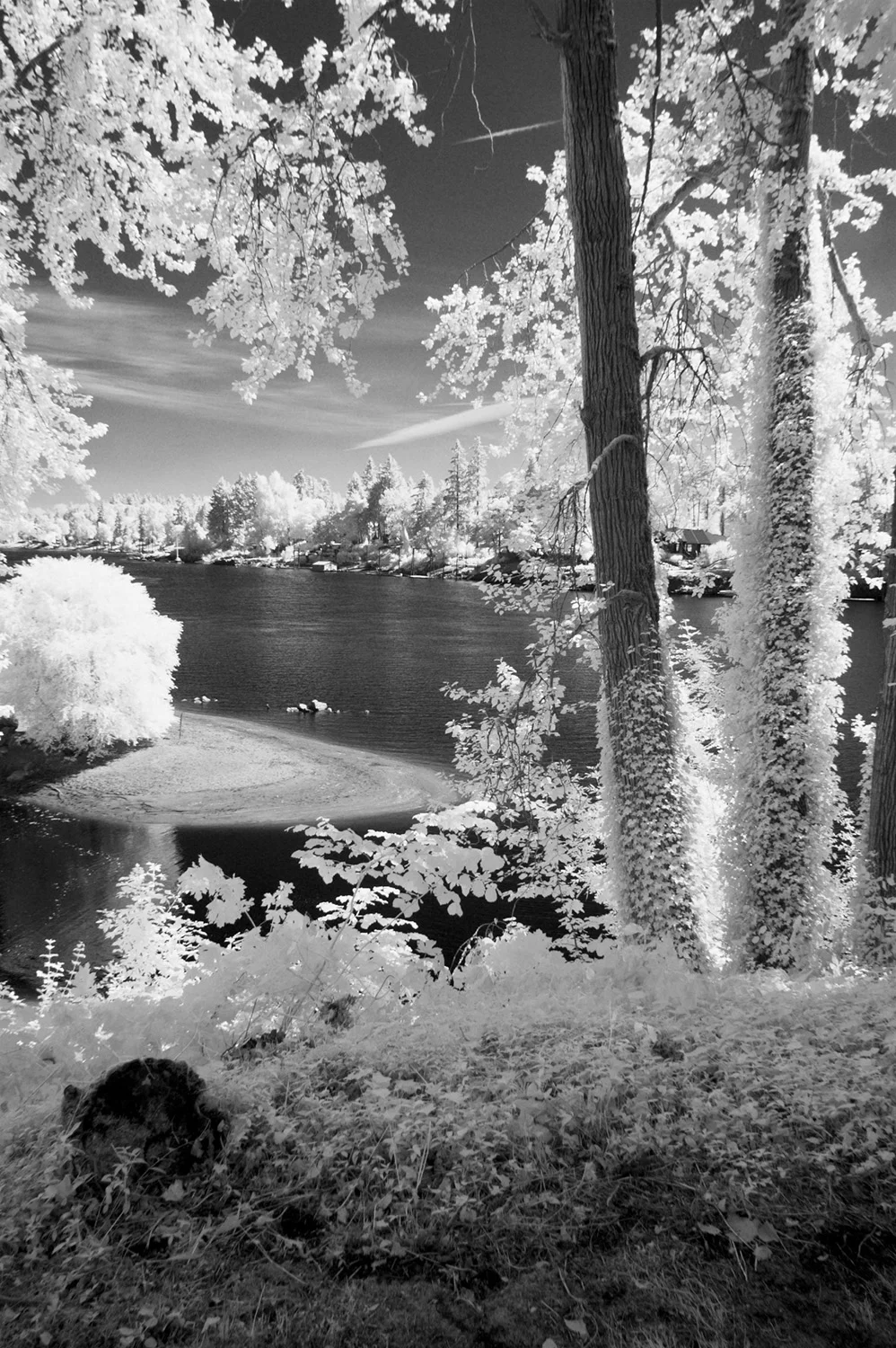 Willamette River, Lake Oswego, Oregon
