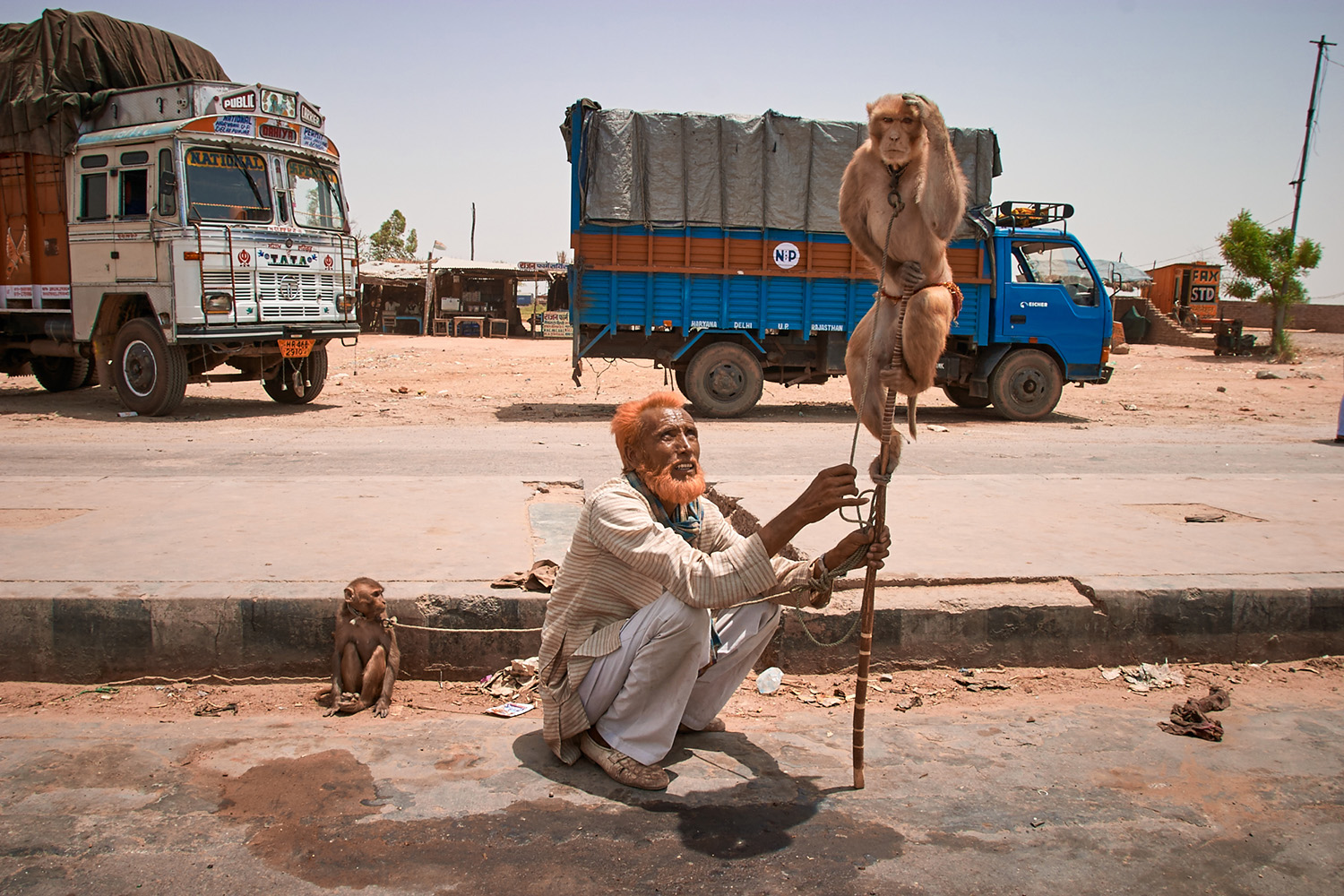 Street Hawker with Monkey