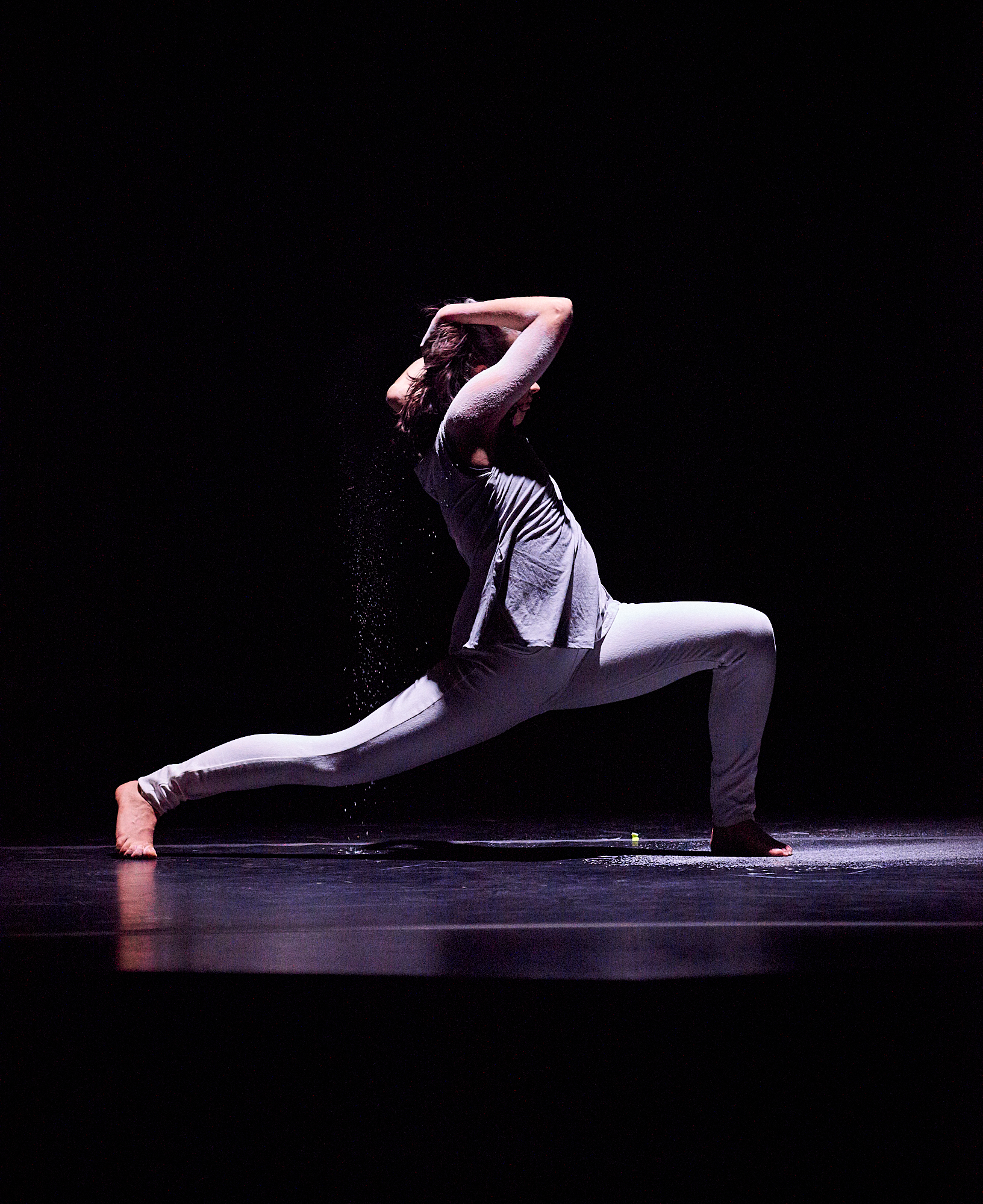  Arch - A Dance Concert. Student dance performances presented by the Colgate Department of Theater, featuring dance performances and senior thesis projects in dance. 