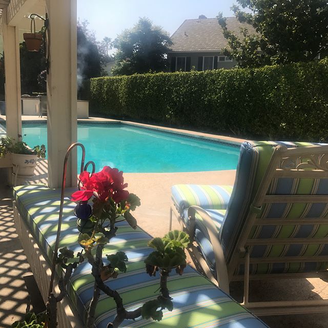 Custom Sunbrella cushions made for pool area. Villa Park, CA. All cushions custom made with Sunbrella fabric made to withstand the elements of Mother Nature.
.
.
.
#summer #california #pool #poolparty #poolside #backyard #interiorstyling #interiordes