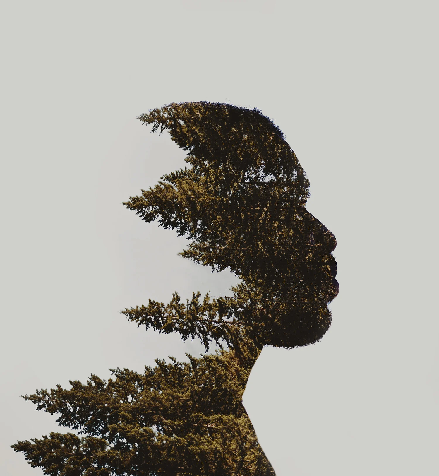 Details 100 snapseed double exposure background images Abzlocal.mx