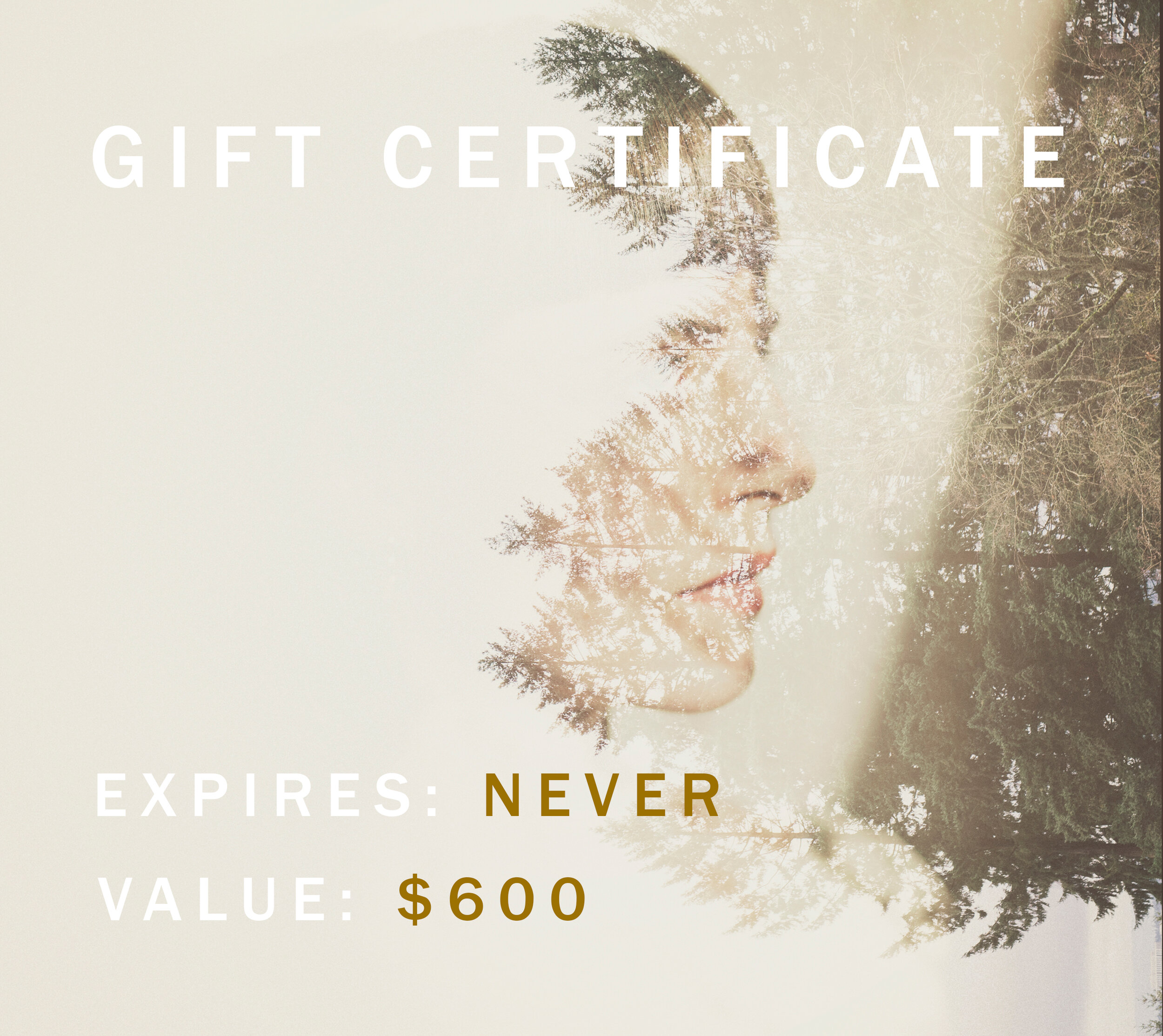 GIFT CERTIFICATE