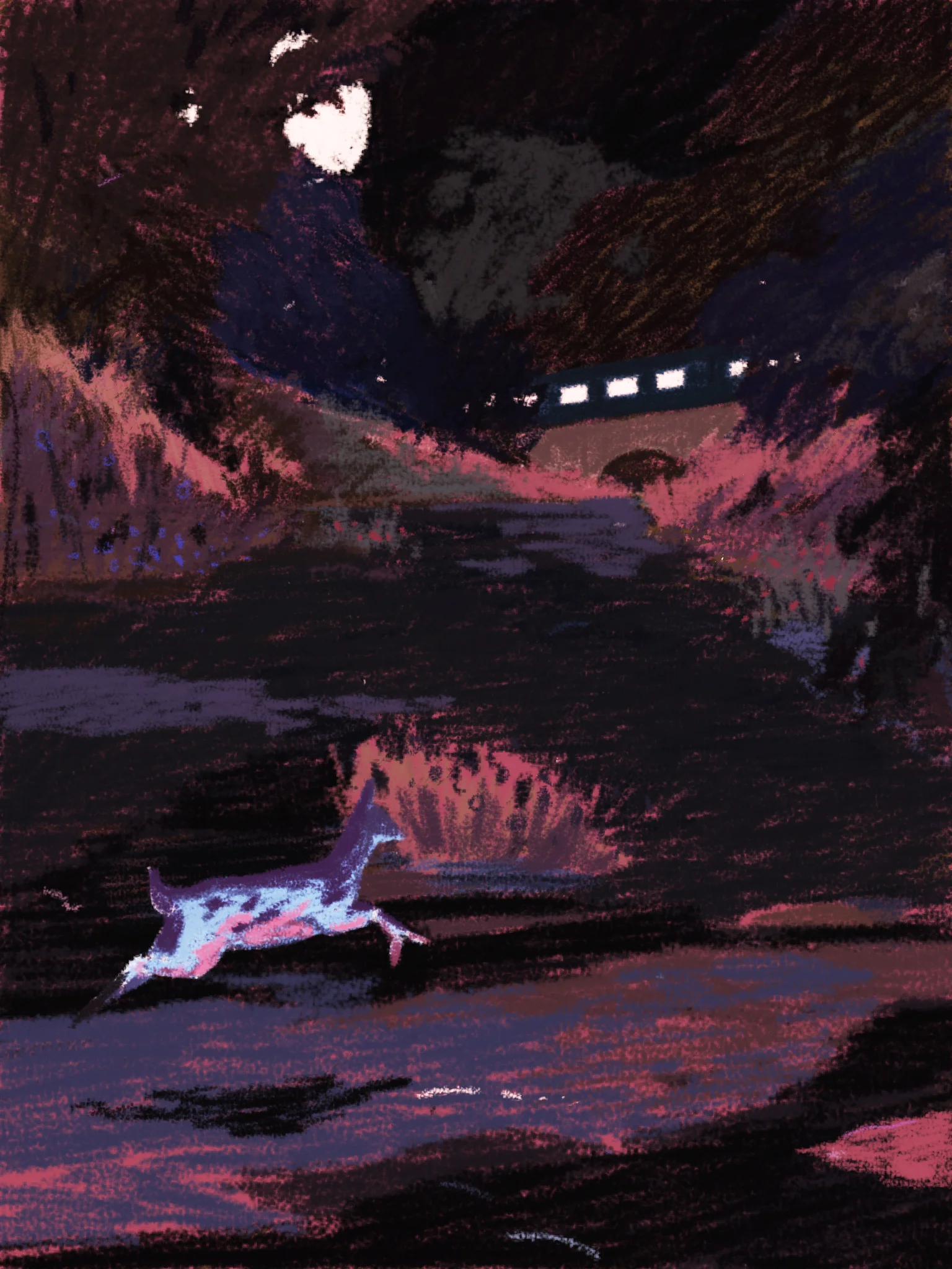 Before Dawn