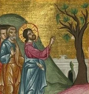 Eleventh Sunday in Ordinary Time