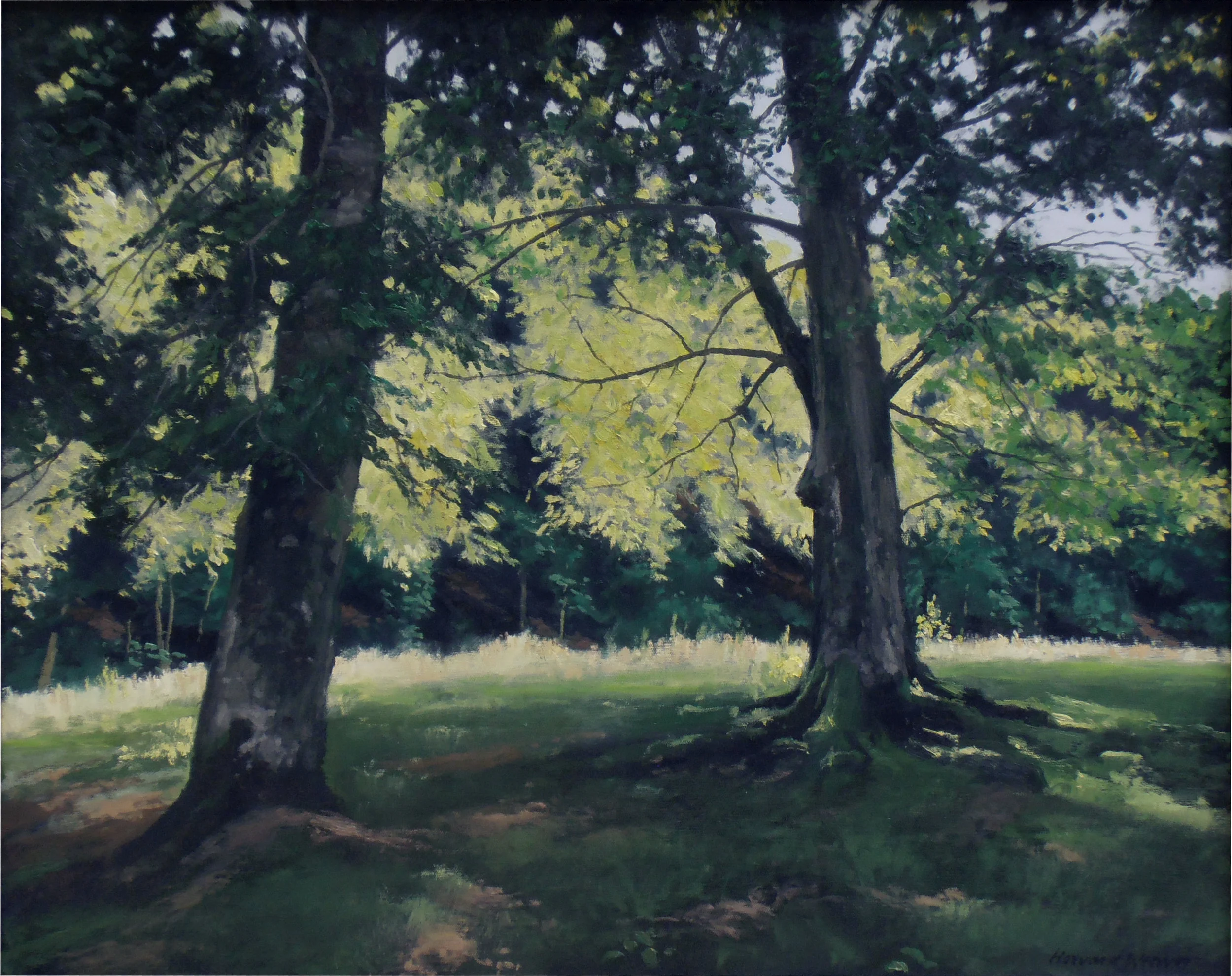 Uz valley beeches - Transylvania / oil on canvas
