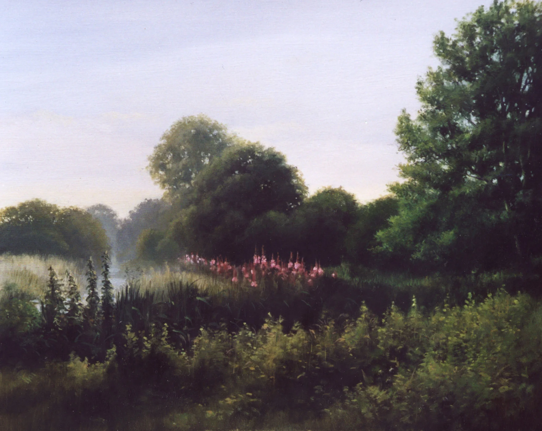 Rosebays - oil on canvas