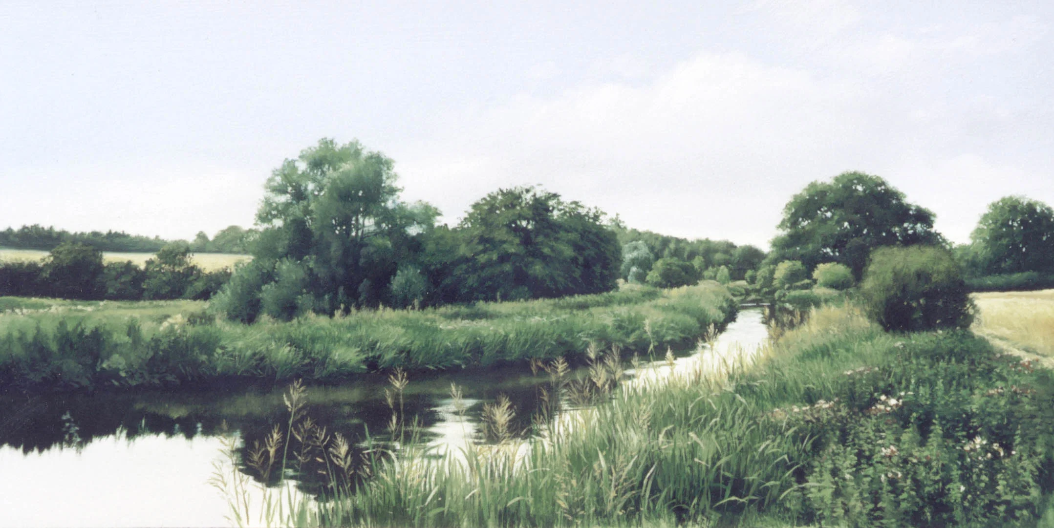 River Coly - oil on board