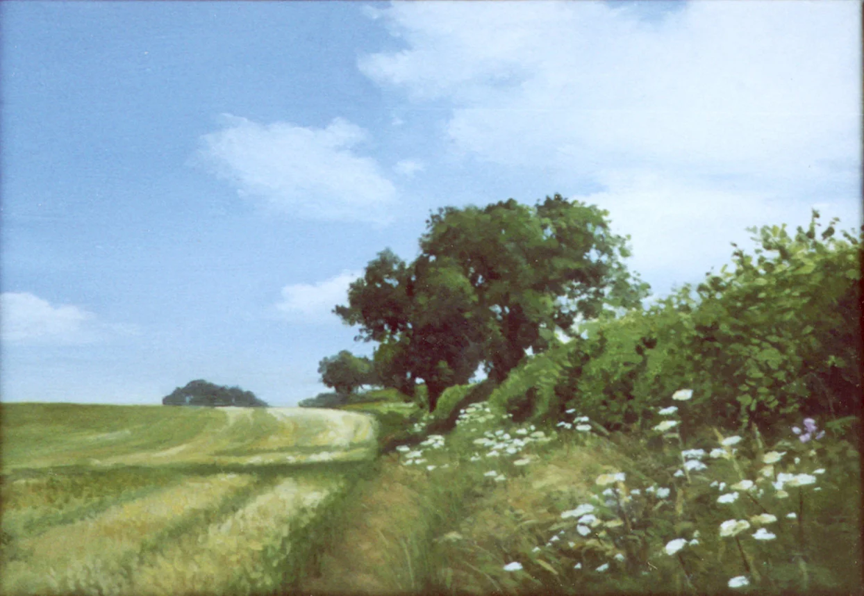 Summer hedgerow, Chiltern hills. Oil on board.