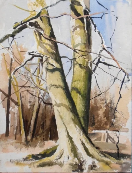 Chiltern beeches (watercolour and gouache)
