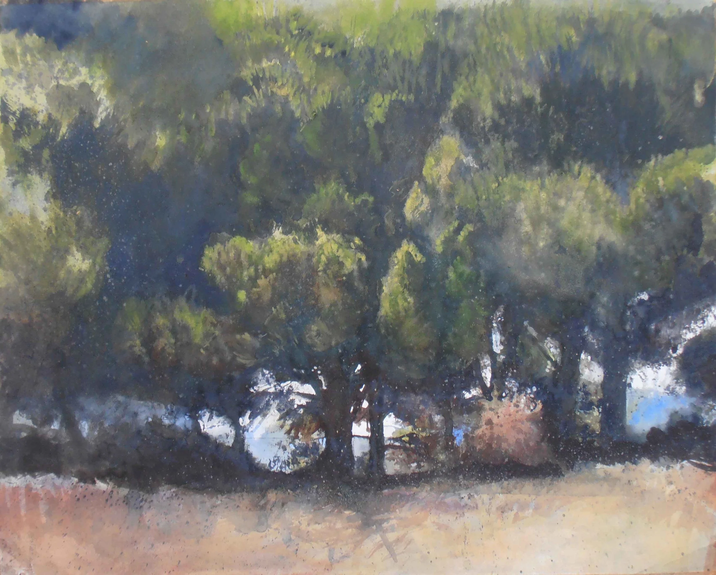 Mediterranian pines,Crete/watercolour