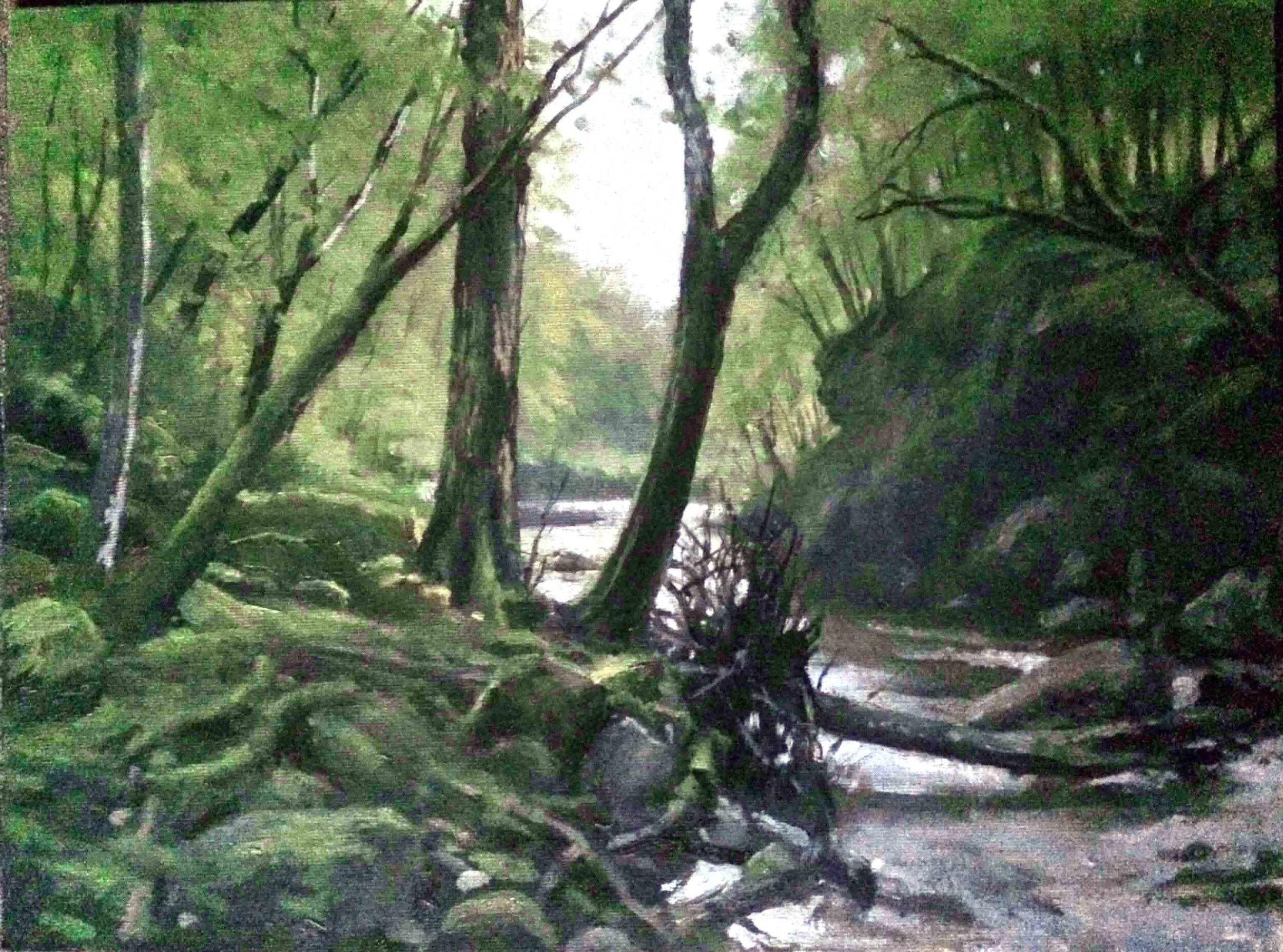 fallentree.jpg