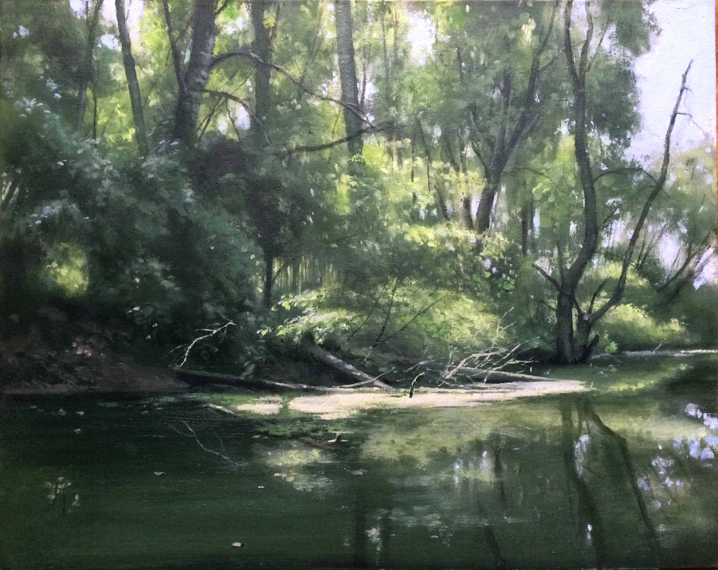 Fallen tree, Kisbodak, Hungary.