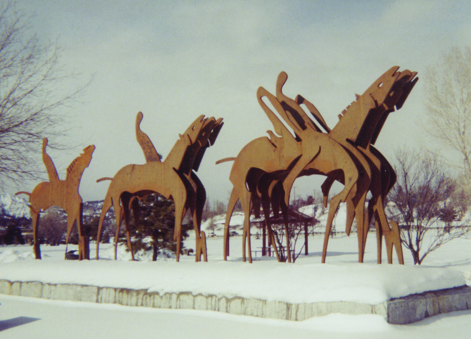 parade horse in snow.jpg