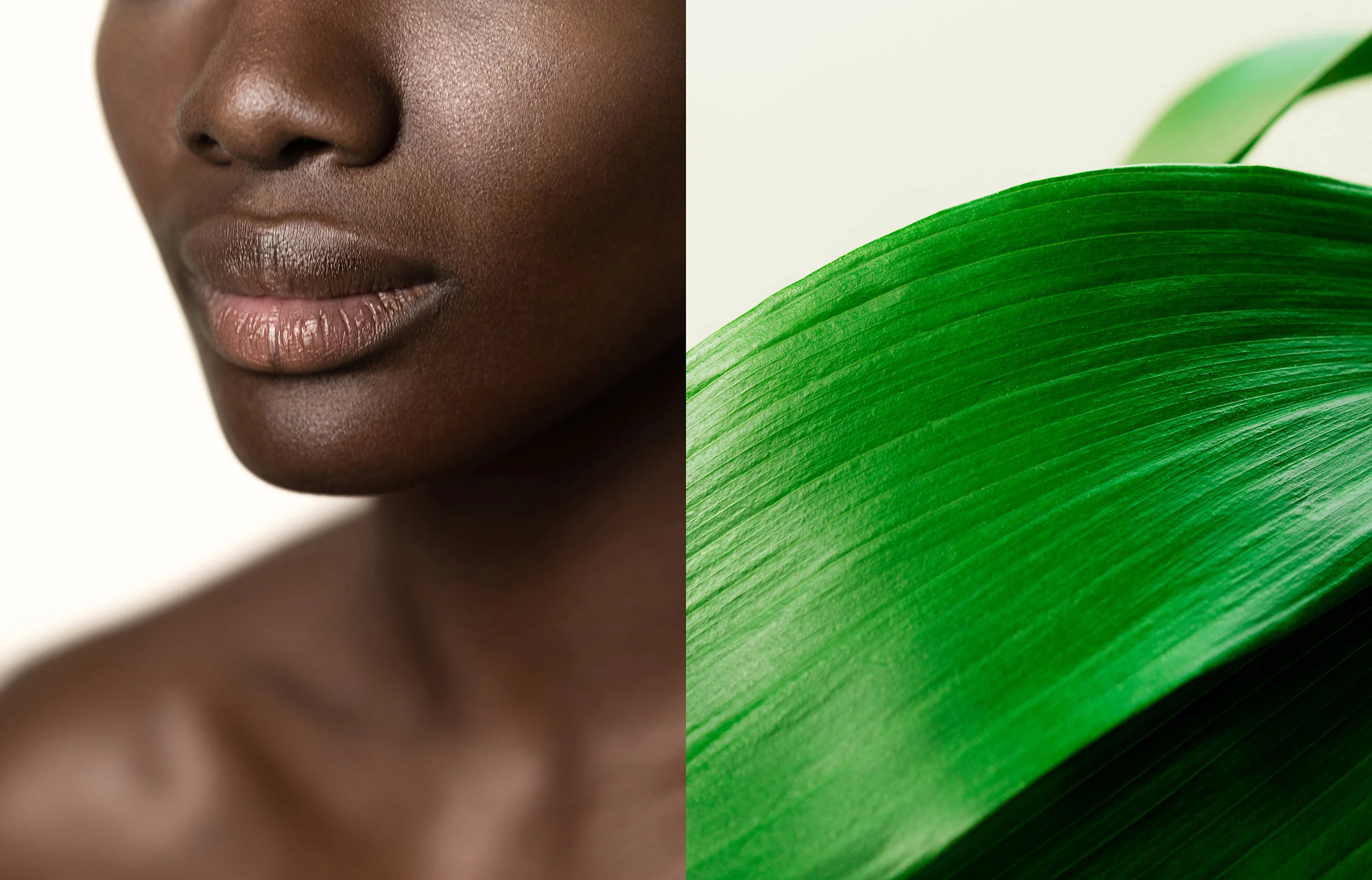 Florence Essence34472B.jpg