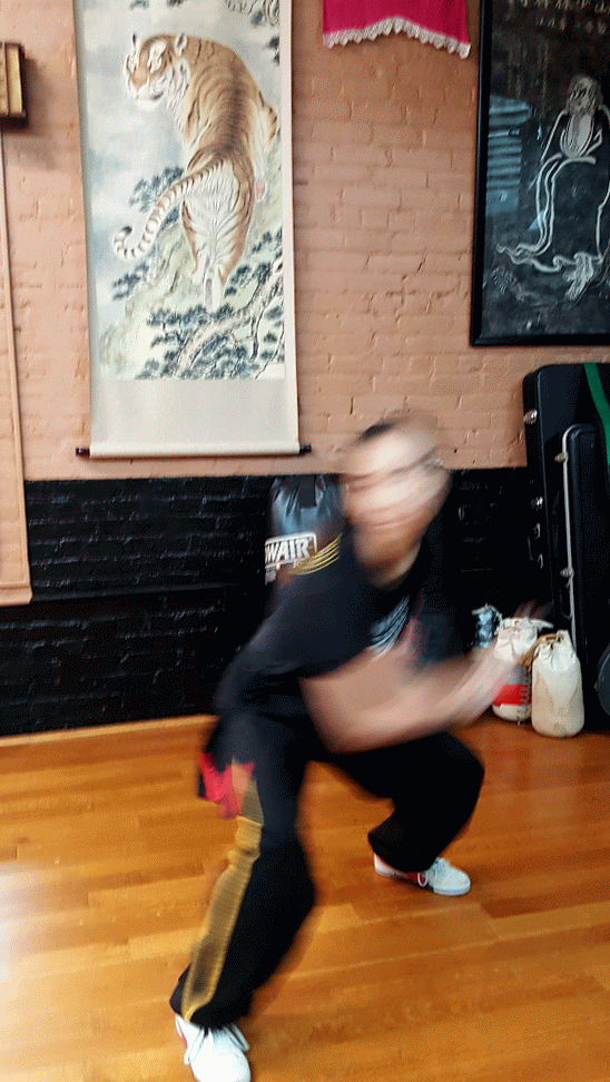 20181103_121120_001-ANIMATION (1).gif
