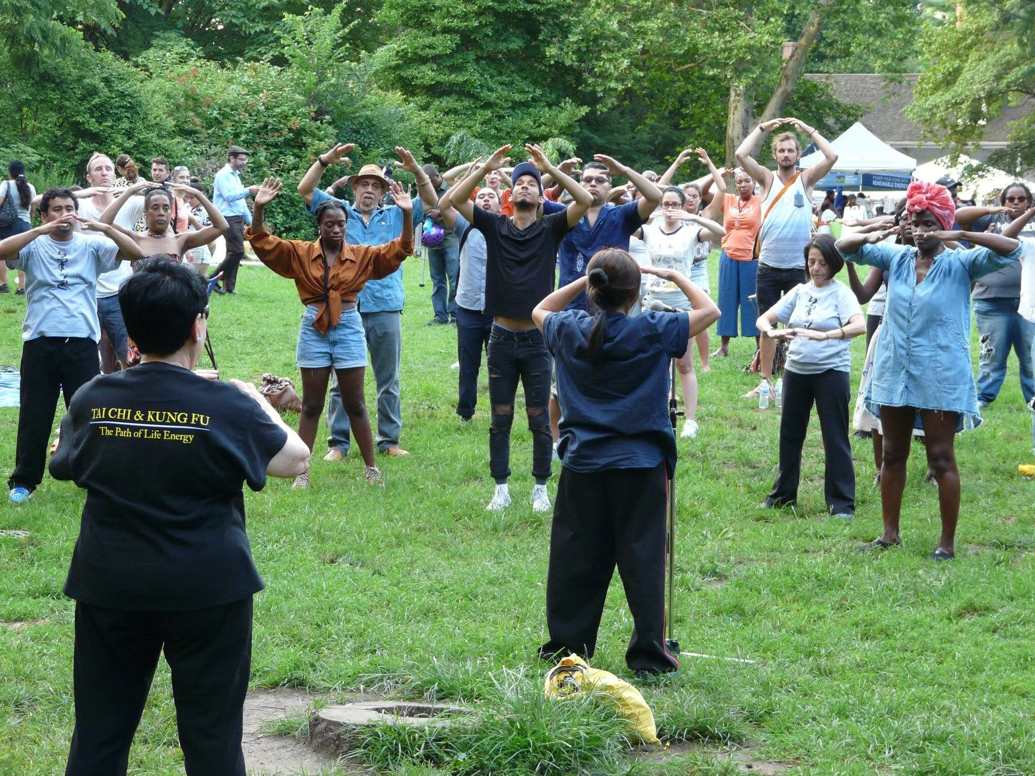Tai Chi workshop at Brooklyn Roots Festival. 2018