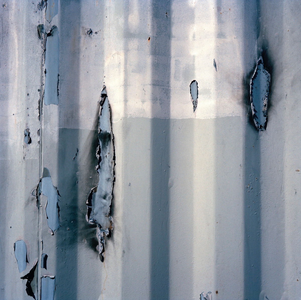 zcorrugatedmetal2_forprint16in (1).jpg