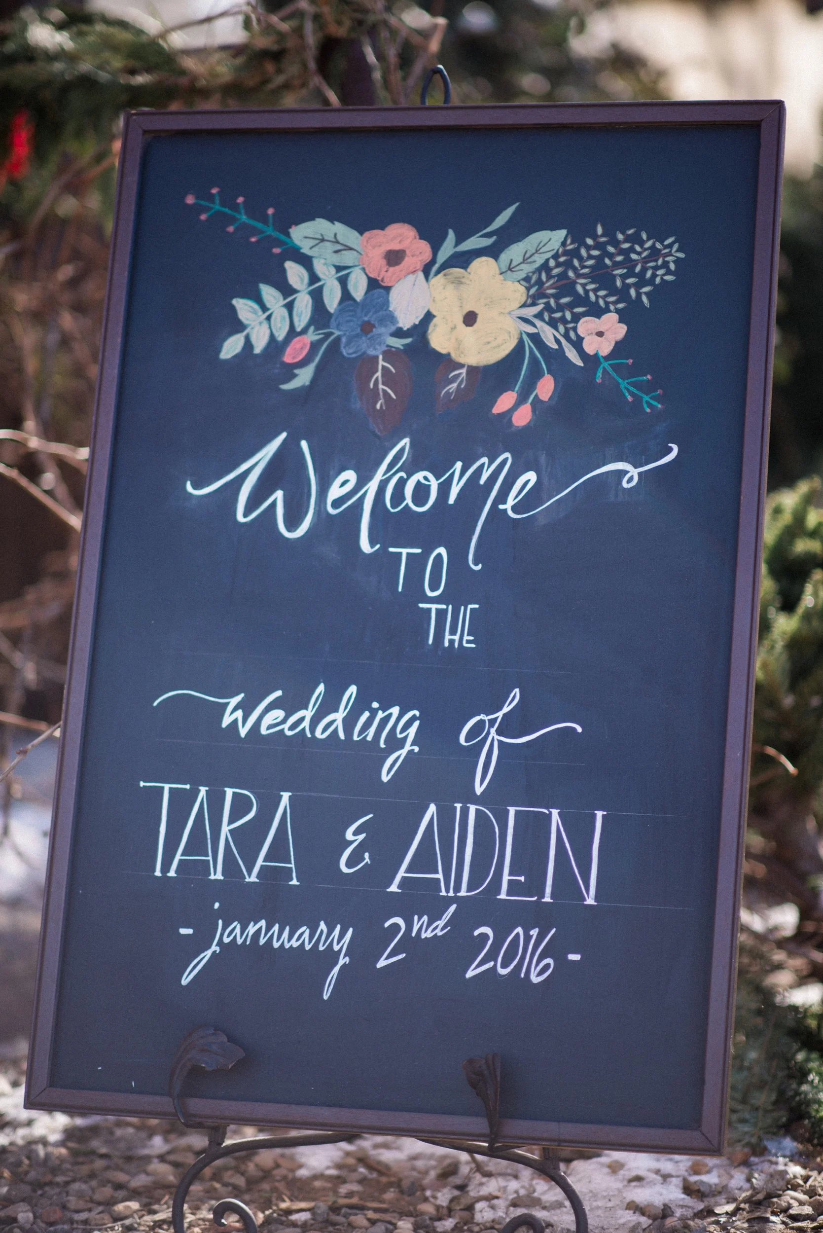 Aiden_and_Tara-1007.jpg