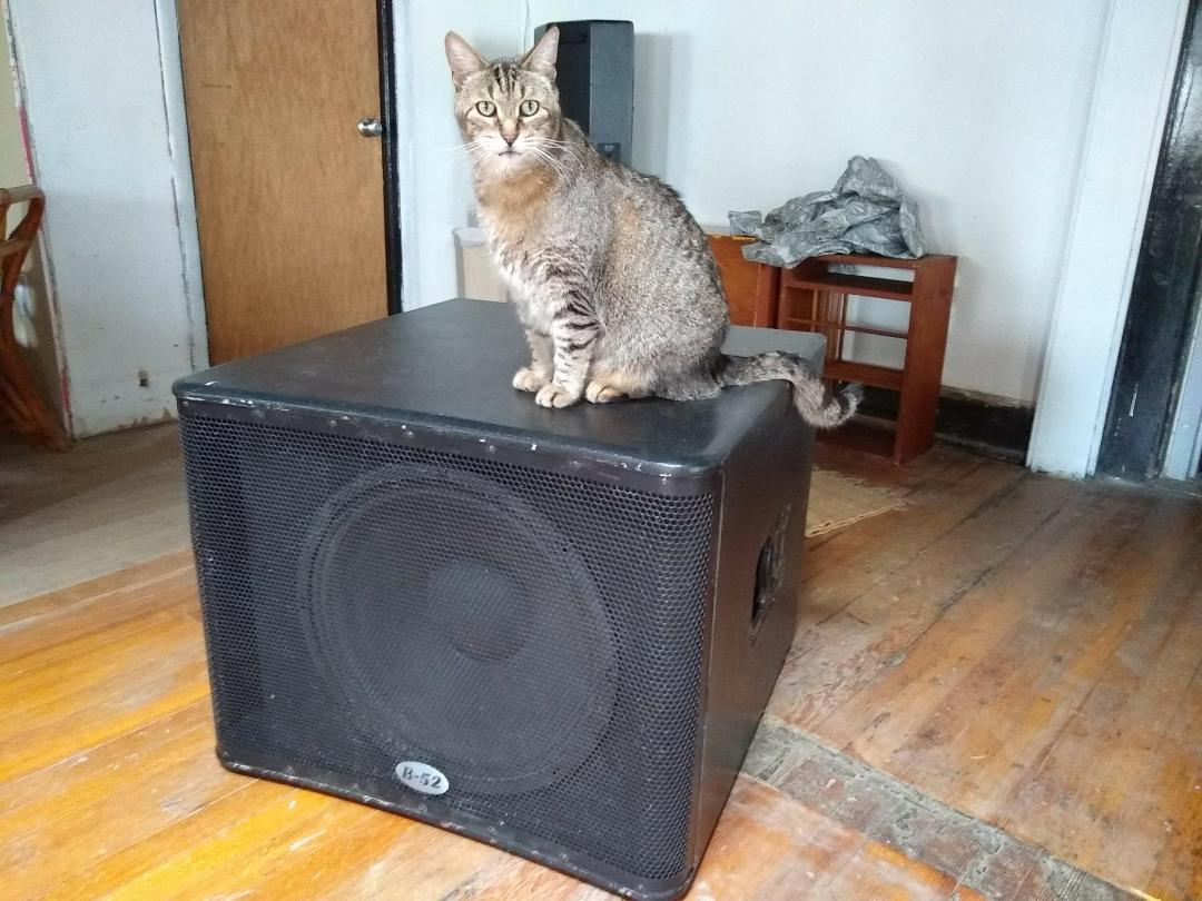 Sam