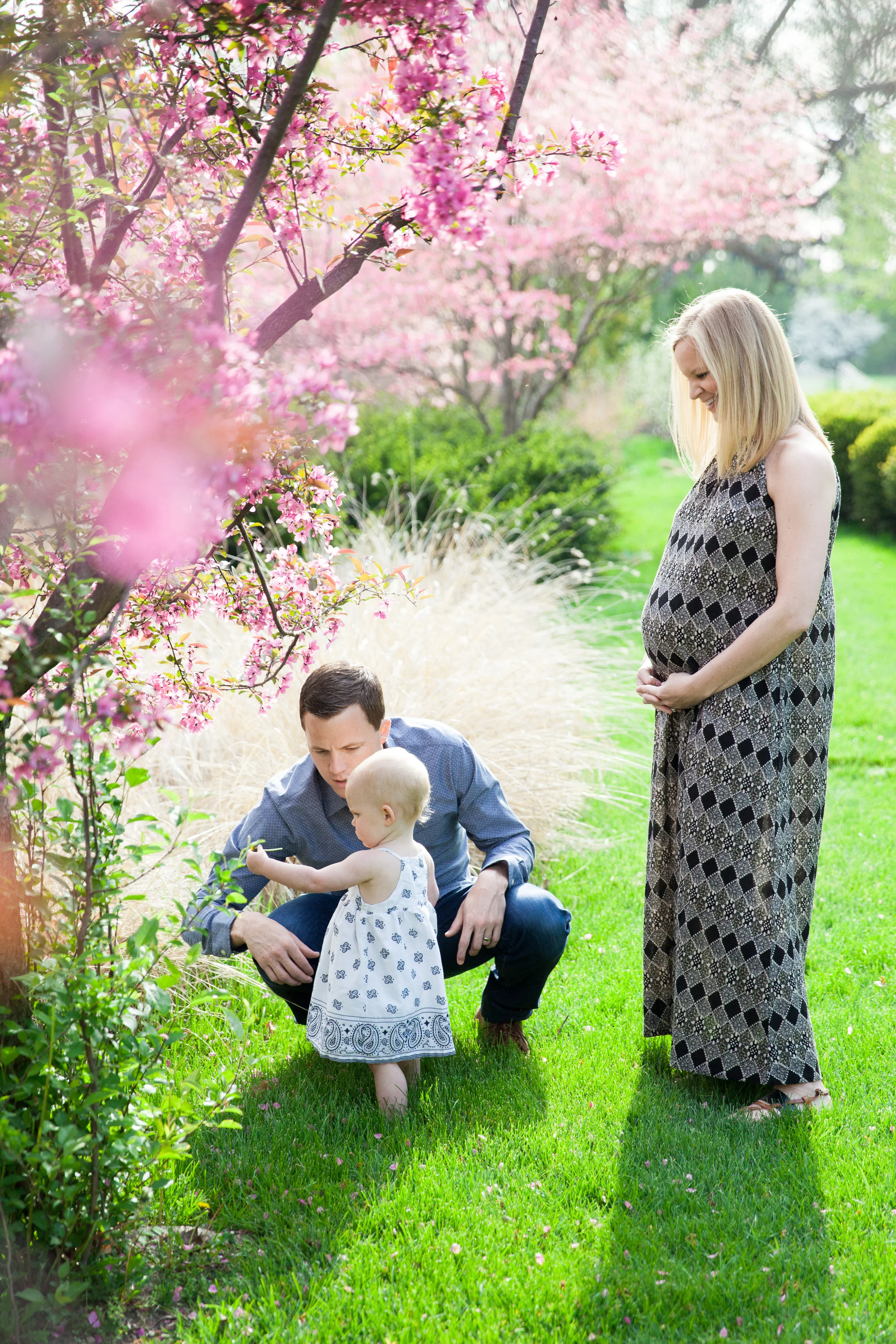 SADIE: 6 MONTHS // family photography
