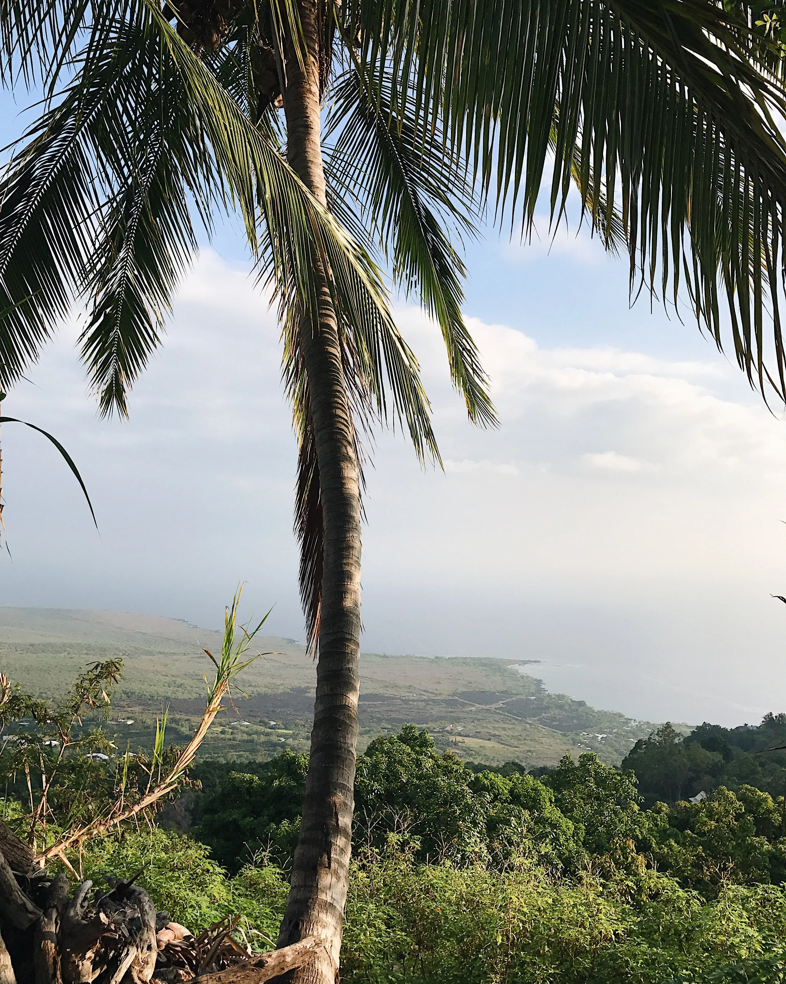 HAWAII // travel photography