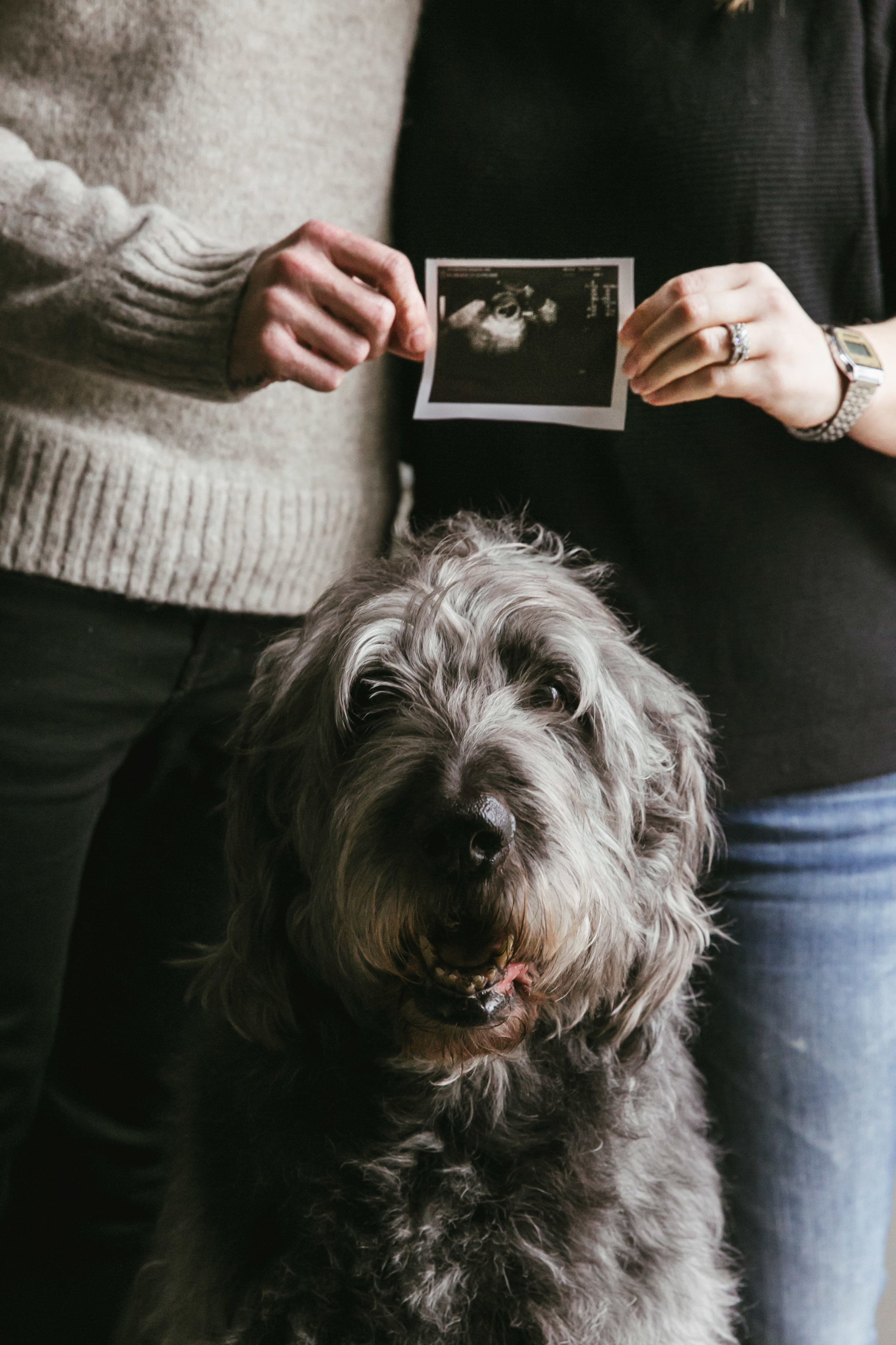 LisaDiederichPhotography_Justin&Lyndi_BabyAnnouncement-6.jpg