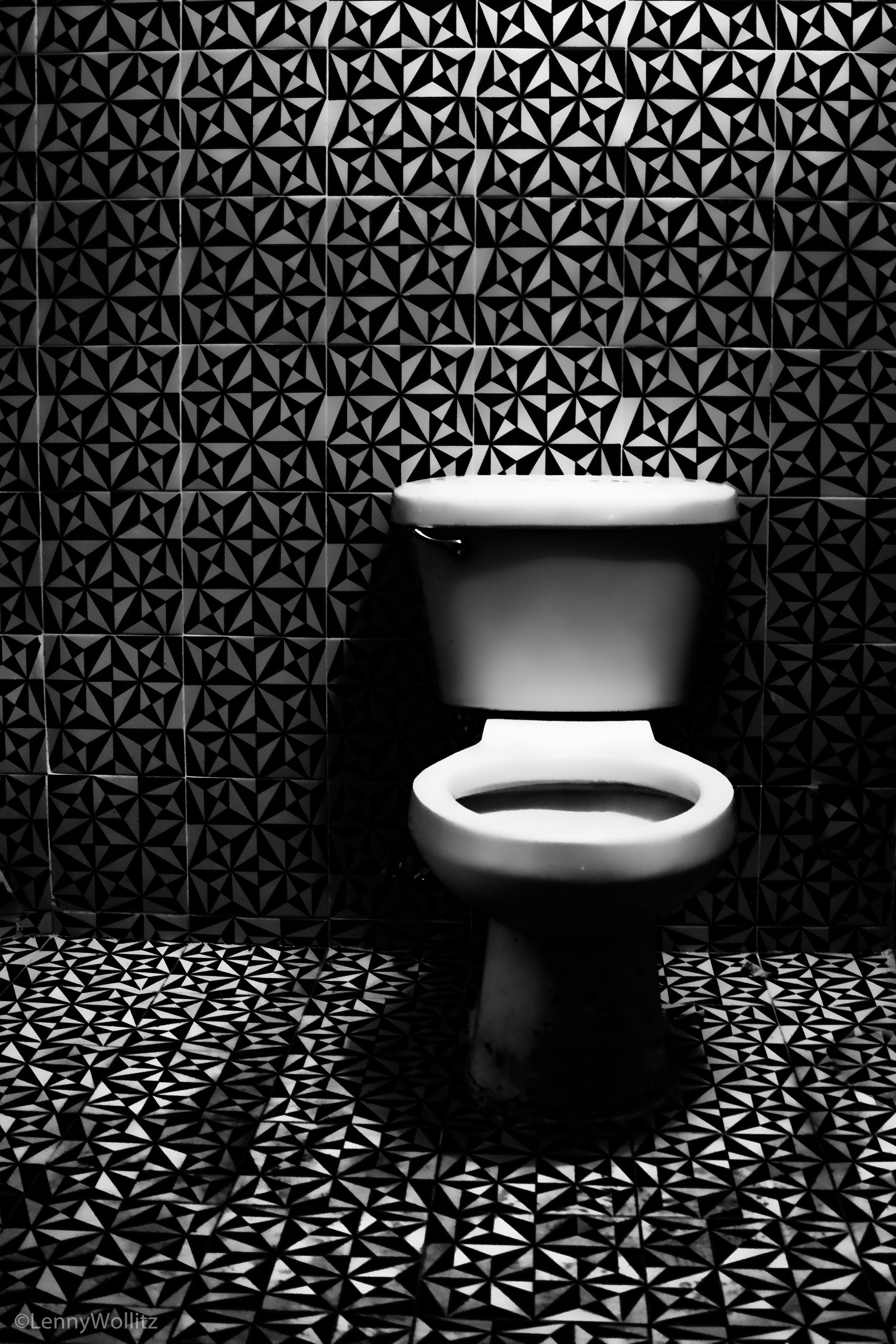 Psychedelic Toilet