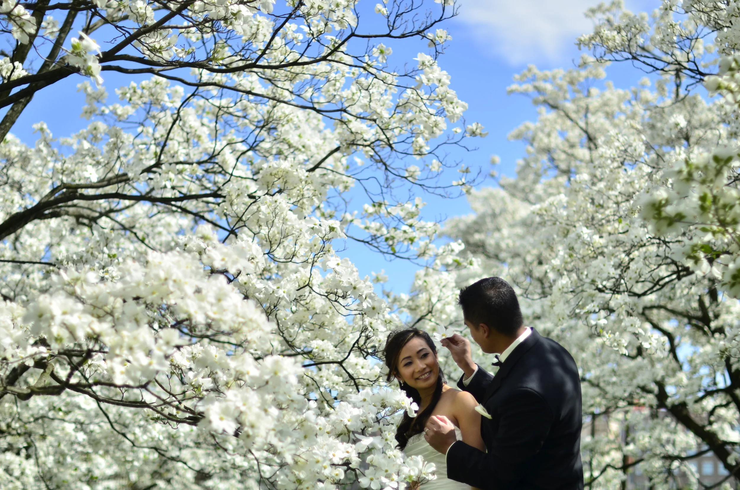 2012(c)DuyTran (43).JPG