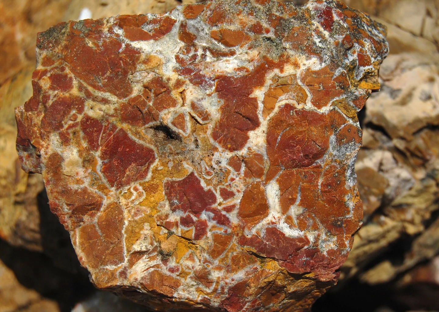 Jasper_outcrop_in_the_Bucegi_Mountains.jpg
