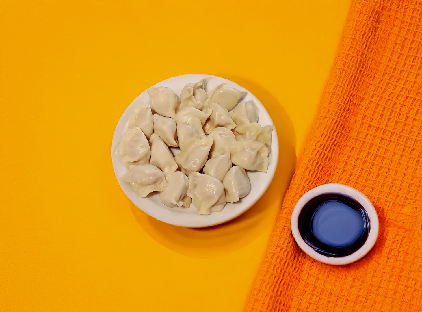 Pork Dumplings
