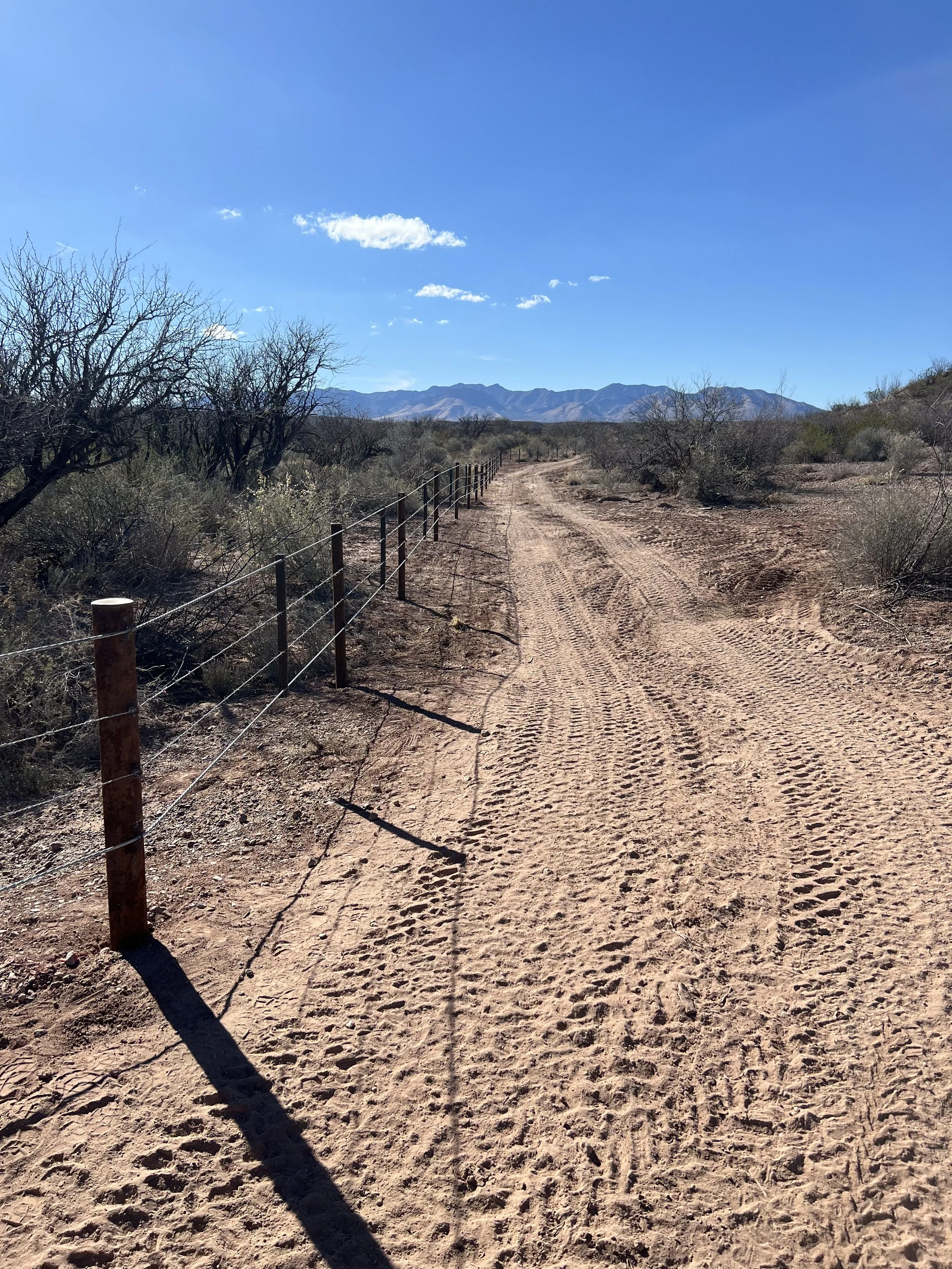 Saint David Cienega Livestock Fence Project