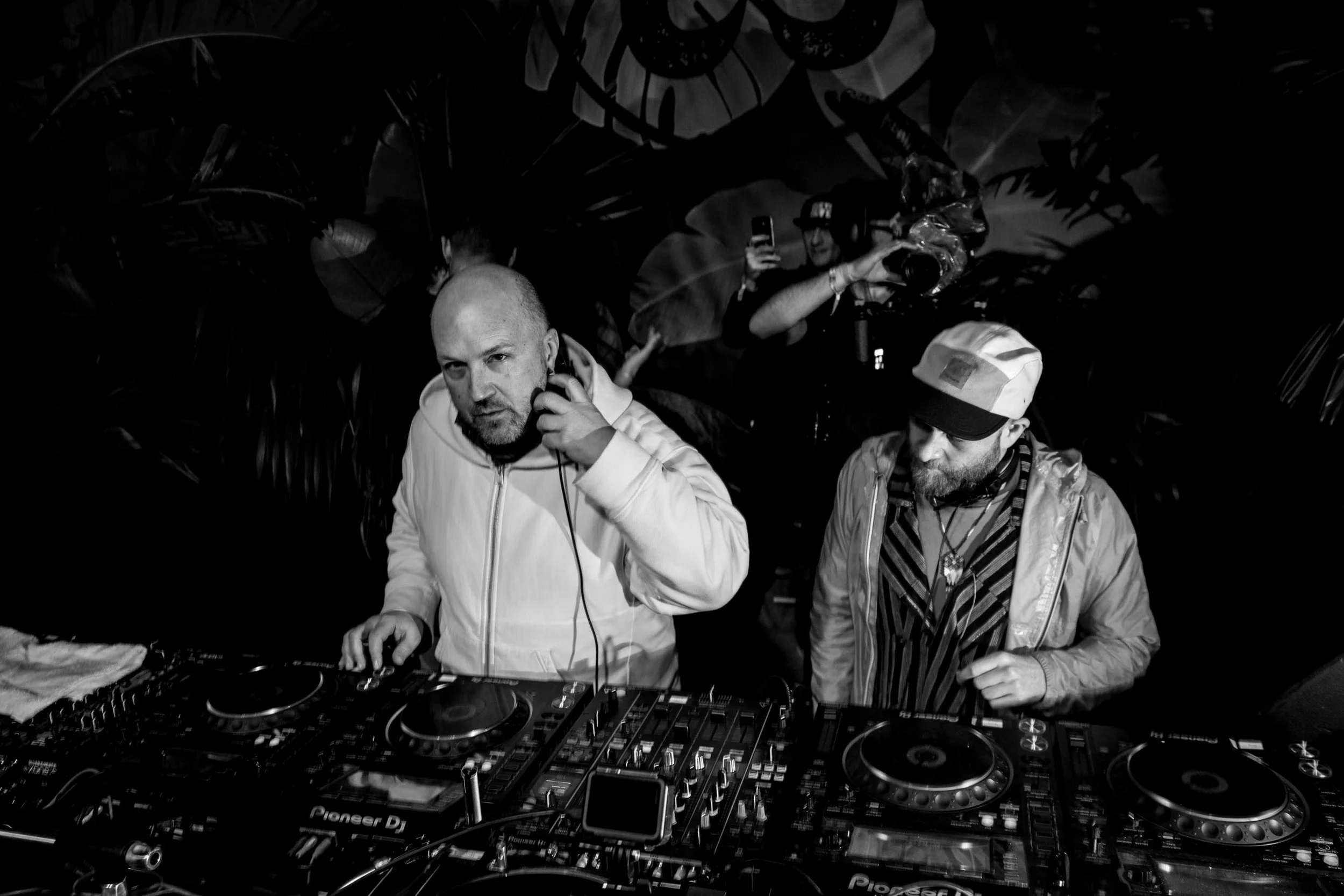 Horse Meat Disco