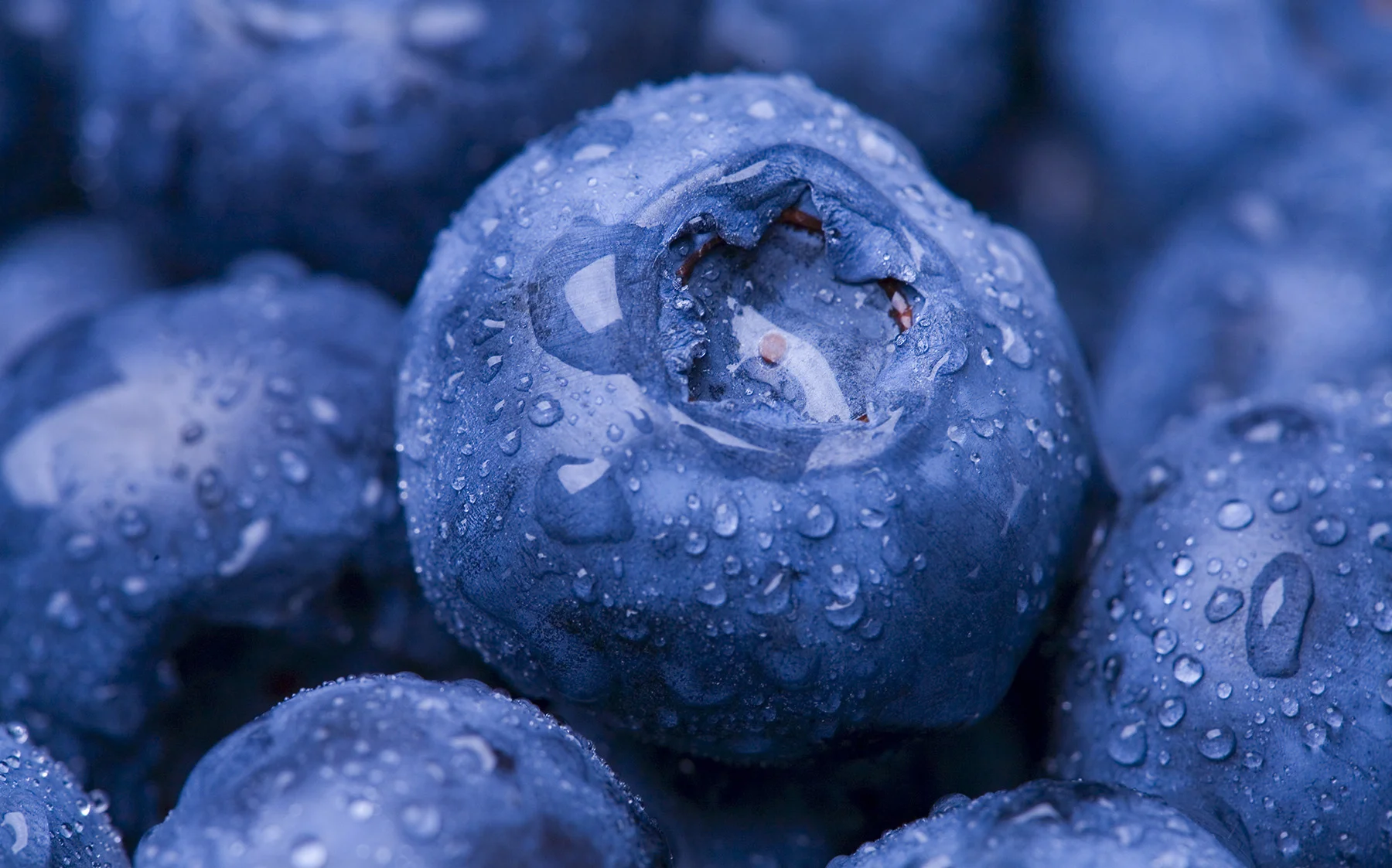 BLUE_iStock-182161730.jpg