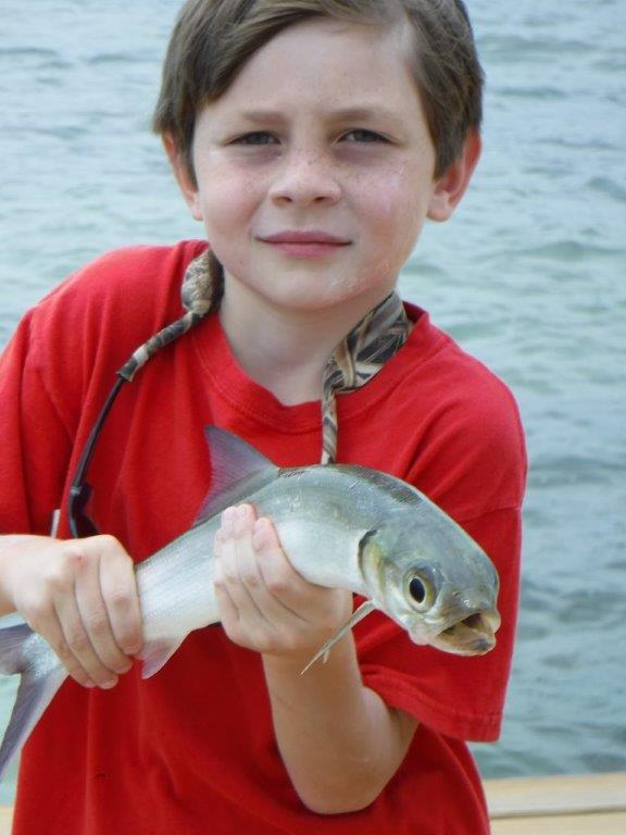  One of the many fish this kid caught off of the pier at the resort.&nbsp; 