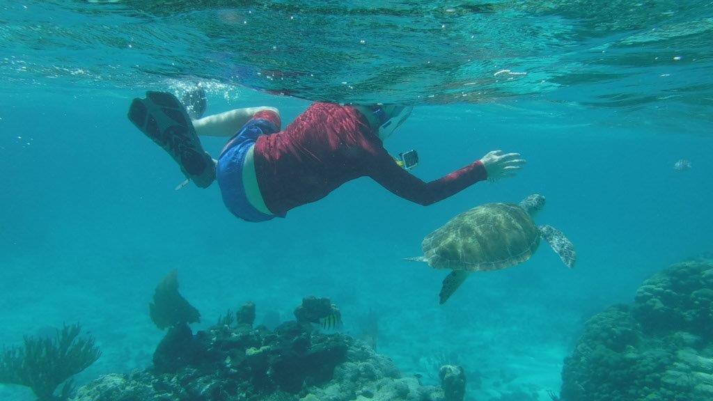  My oldest son LOVED the snorkeling.&nbsp; 