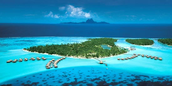Take 'em to Tahiti