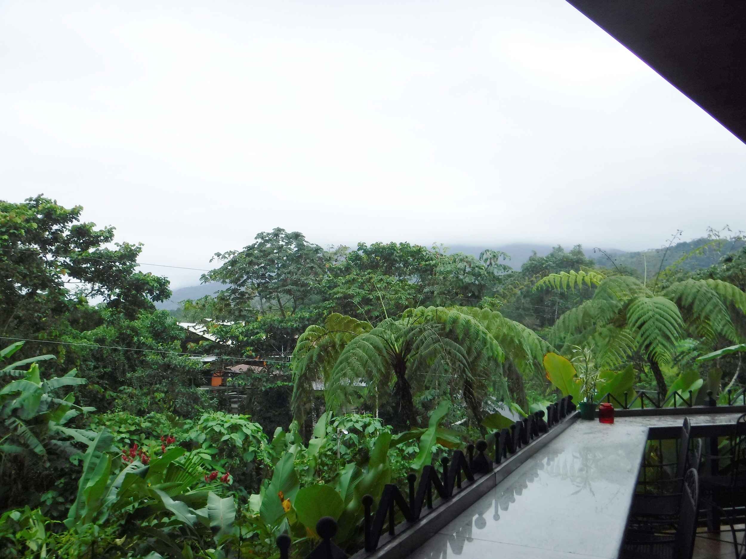   The gorgeous view from the restaurant at the Arenal Springs Resort and Spa.  