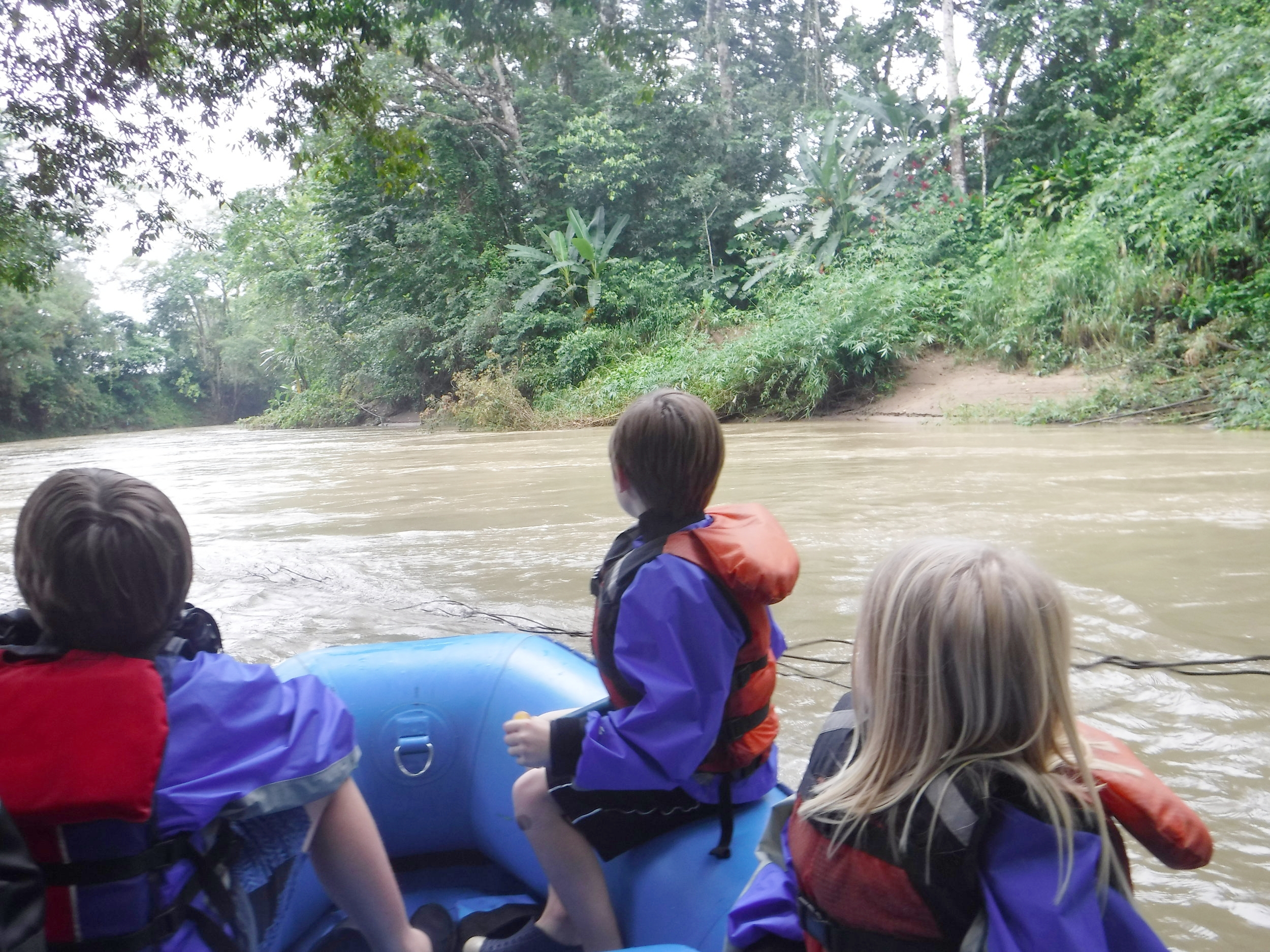   There are rafting adventures for all levels of adventurers! We saw TONS OF monkeys, sloths, caimans and a Jesus Christ Lizard.  