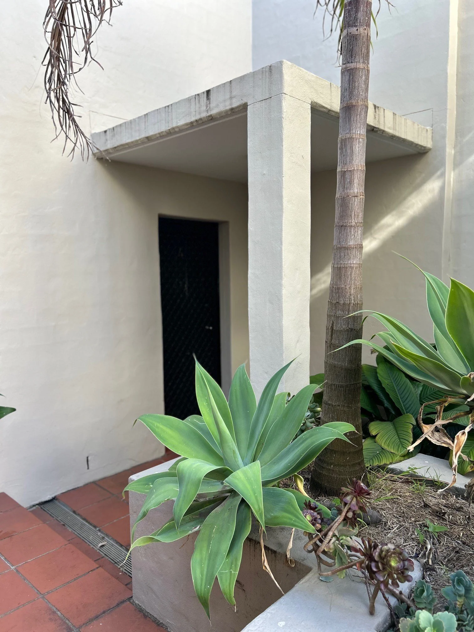 Fascade front townhouse.jpg
