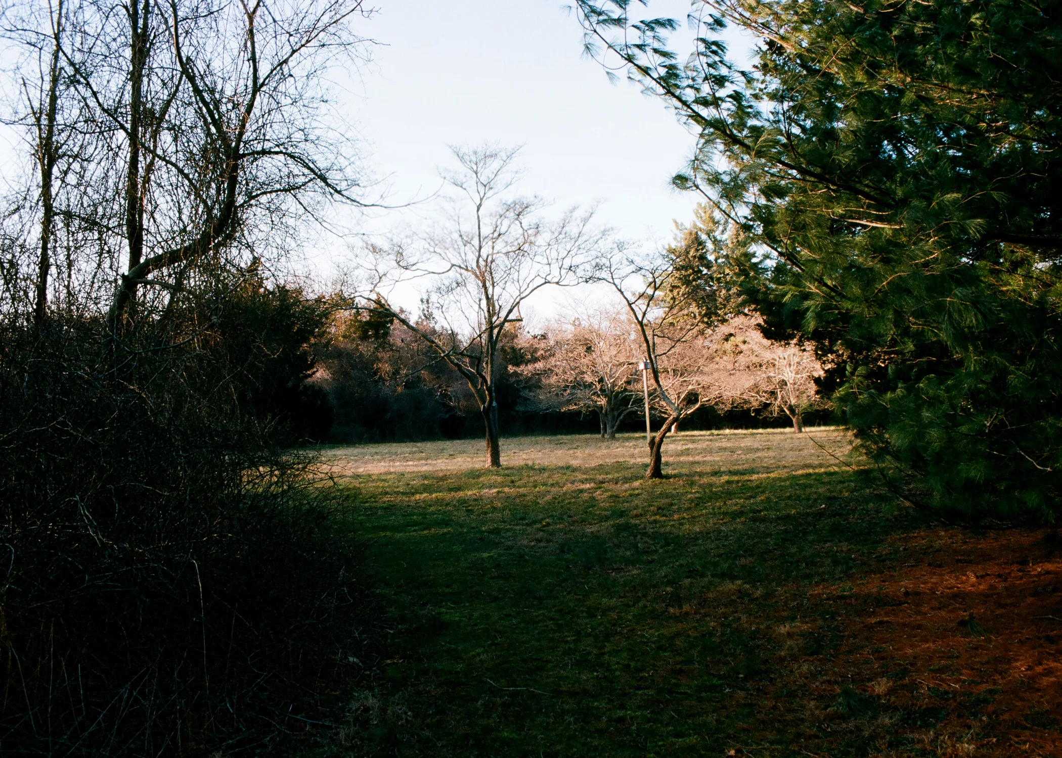 11 Where we saw the deer.jpg