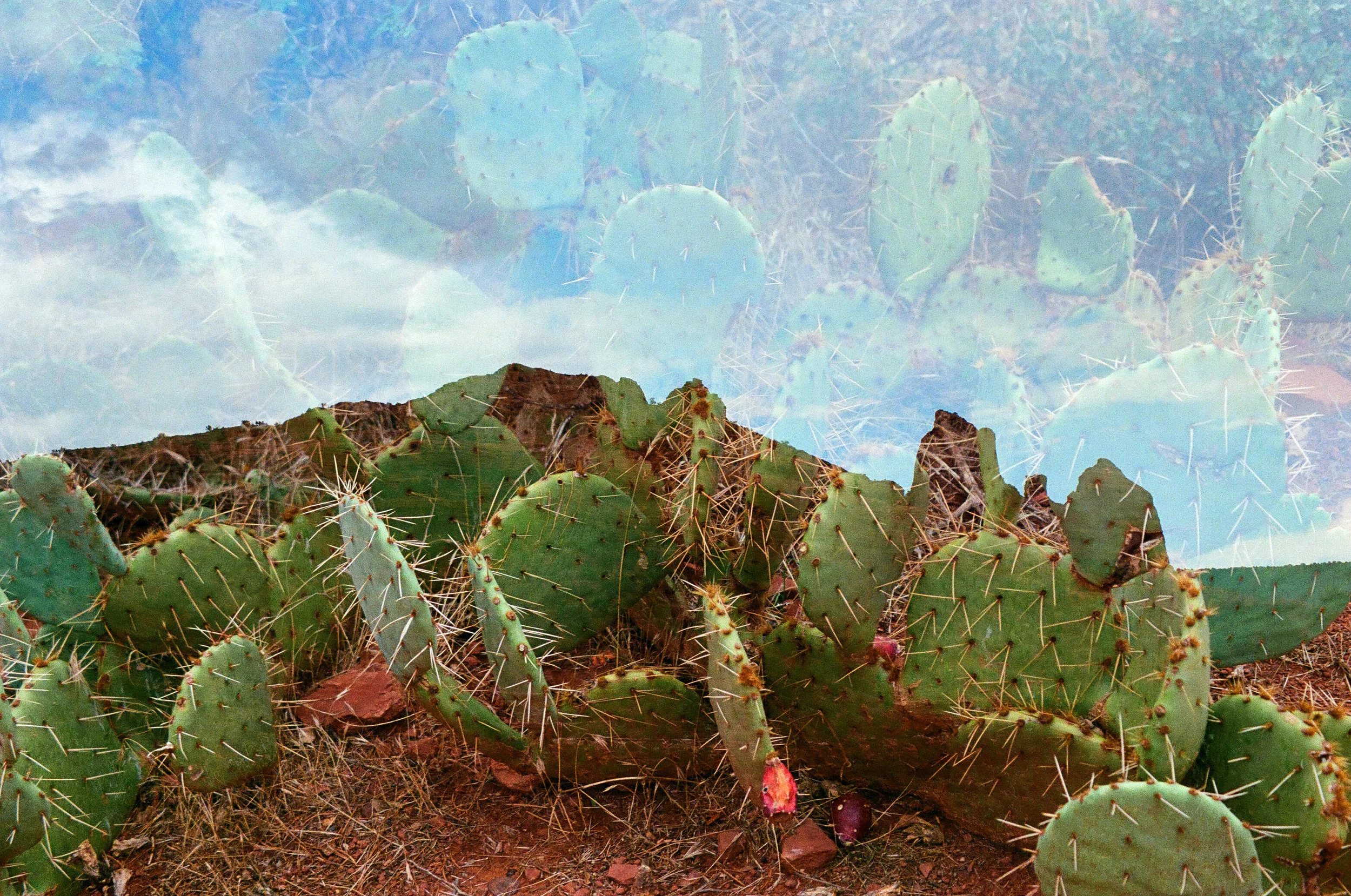 Untitled 2.jpg