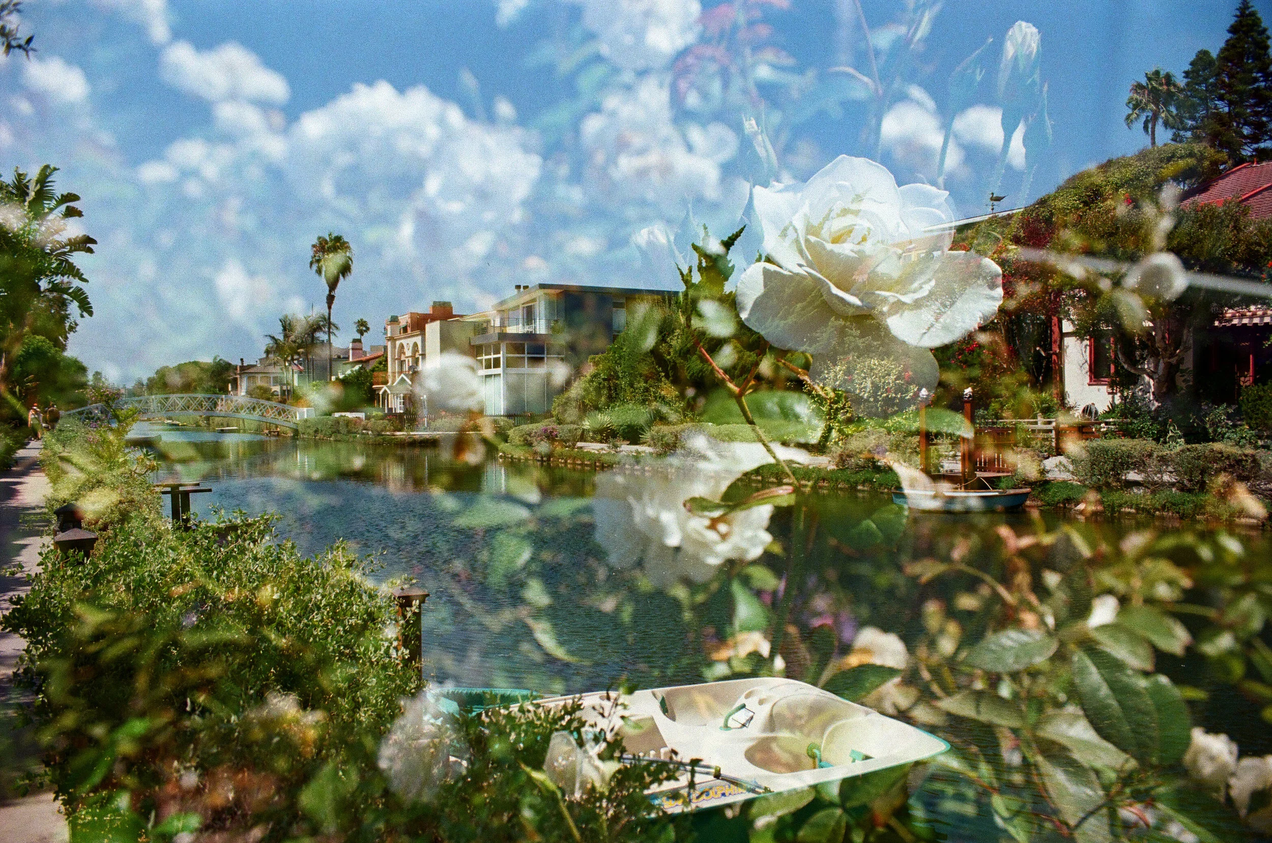 Untitled 5.jpg
