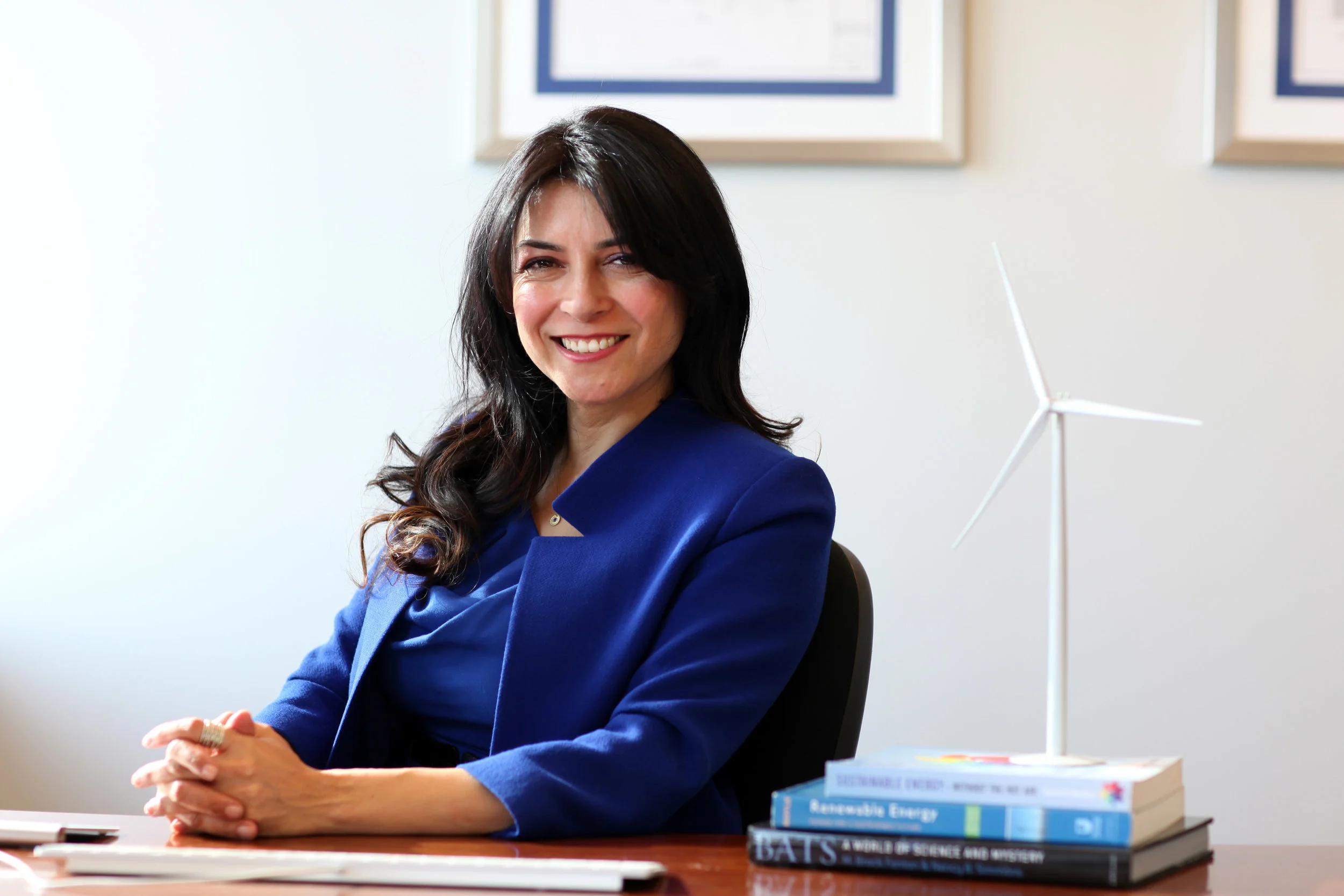 Sarah Valdovinos, Co-founder of Walden Green Energy