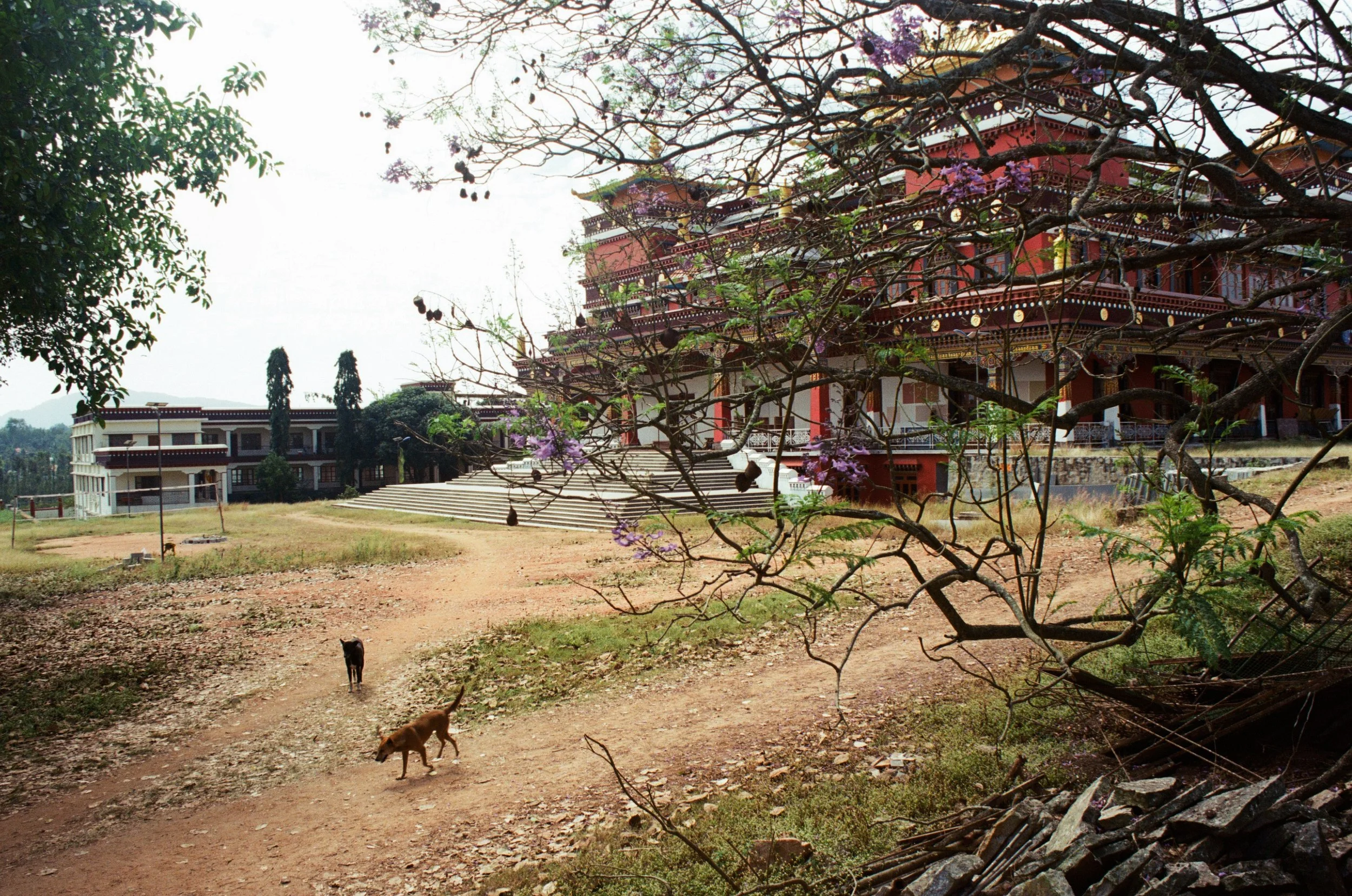 Kagyu Monastry, Bylakuppe