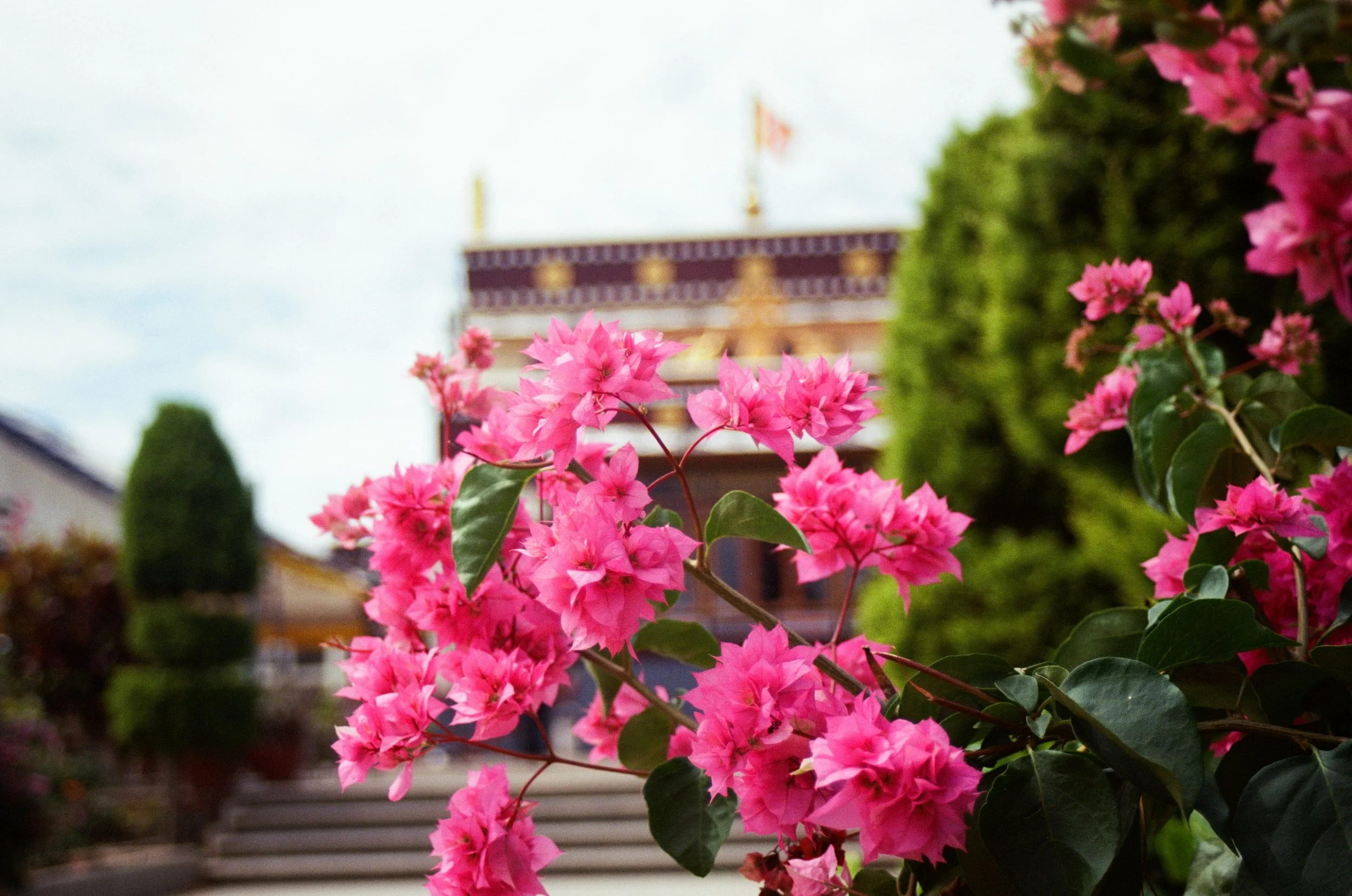Kagyu Monastry, Bylakuppe
